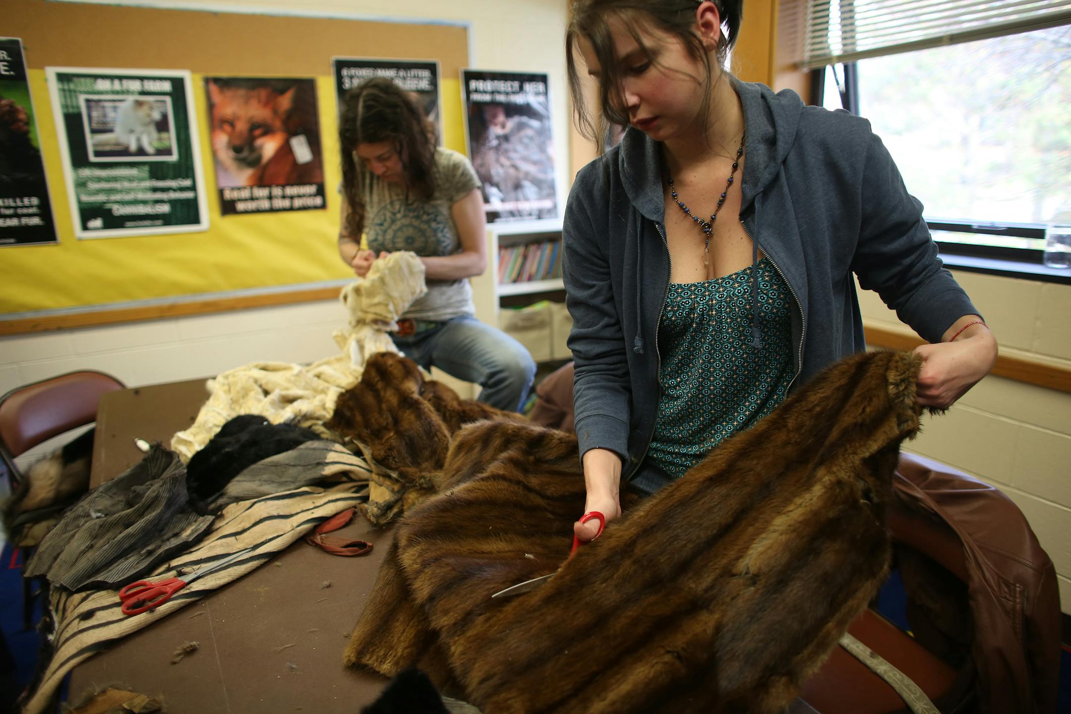 Volunteer Jacqui Valenti cut through the back of a coat to make smaller pieces for rescue animals, a common occurrence at Cuddle Coats.