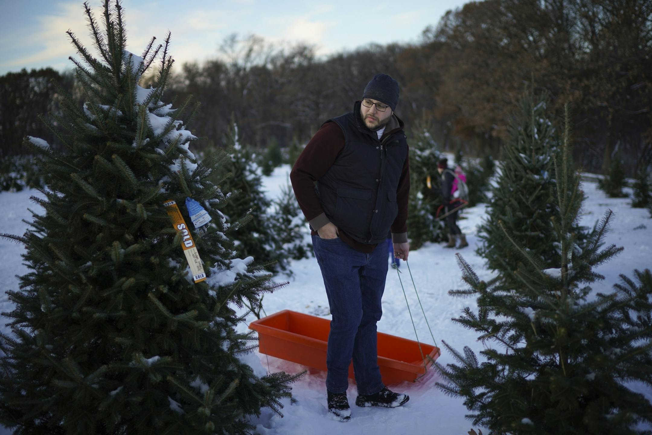Alex Olin, his wife, Kim, and their three kids searched for the tree they had picked out earlier at Krueger's Christmas Tree Farm Tuesday afternoon. Their search was in vain; apparently another party removed the "sold" tag from their tree and cut it down for themselves.