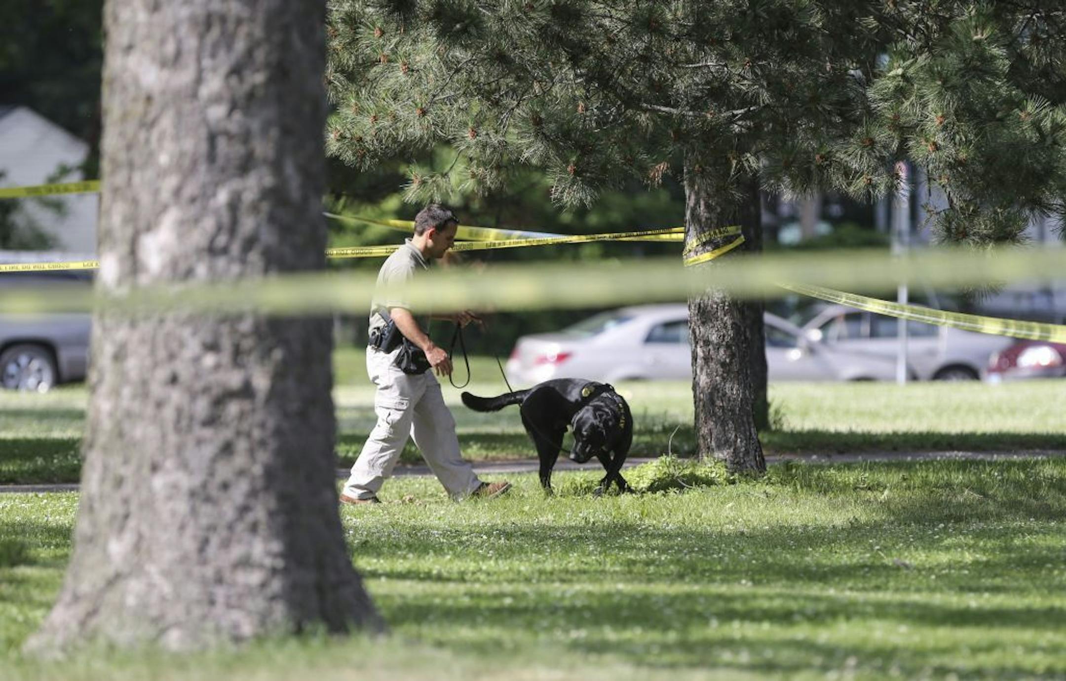 A police dog did a sweep of an area for casing at scene of a shooting that injured a mother and a 15-month-old child in a stroller in Minneapolis, Minn., on Thursday, June 18, 2015.