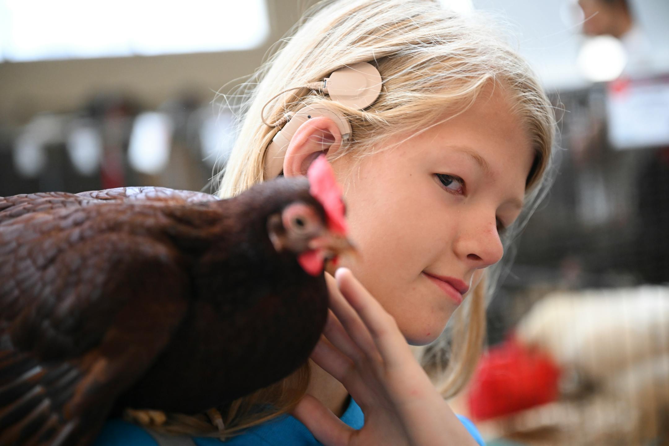 Isla Schuette, 13, of Lino Lakes, lets her Bantam Rhode Island Red Rooster sit on her shoulder in the Poultry Barn. Isla was born deaf and needed cochlear implants. She needs extra help, and the fair was able to accommodate with an ASL interpreter while she was showing her chickens. She says it felt good for the fair to provided this service and that it shows that "deaf people are able to get the help they need even if it seems like they're doing all right."