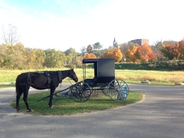 A horse and buggy near where Amish vendors set up shop by the town dam in Lanesboro.