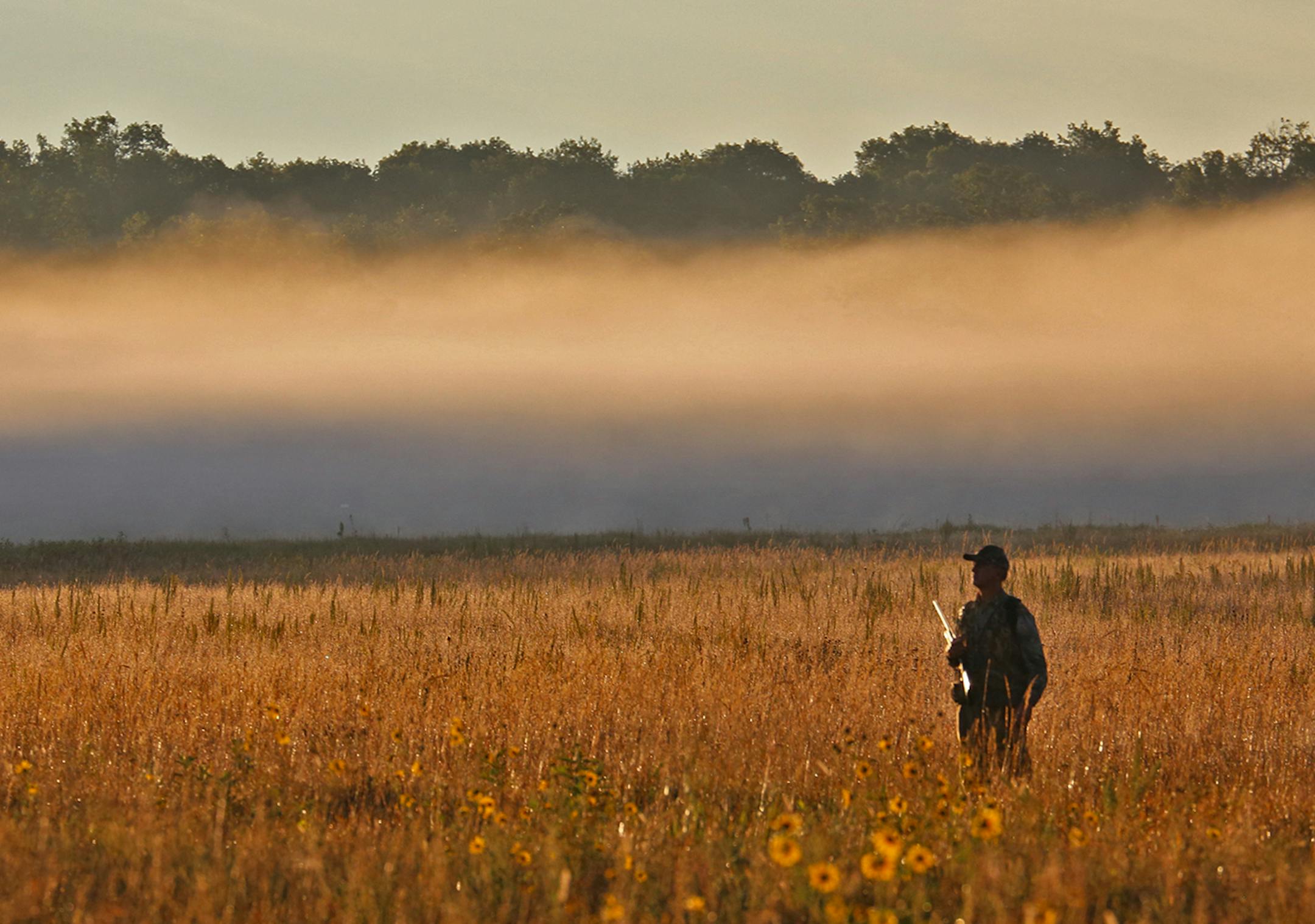 Bathed by a low sun and backgrounded by fog, Rolf Moen of Brainerd awaiting the early morning arrival of a dove or two while hunting Thursday morning in Morrison County on the first day of the state's mourning dove season.