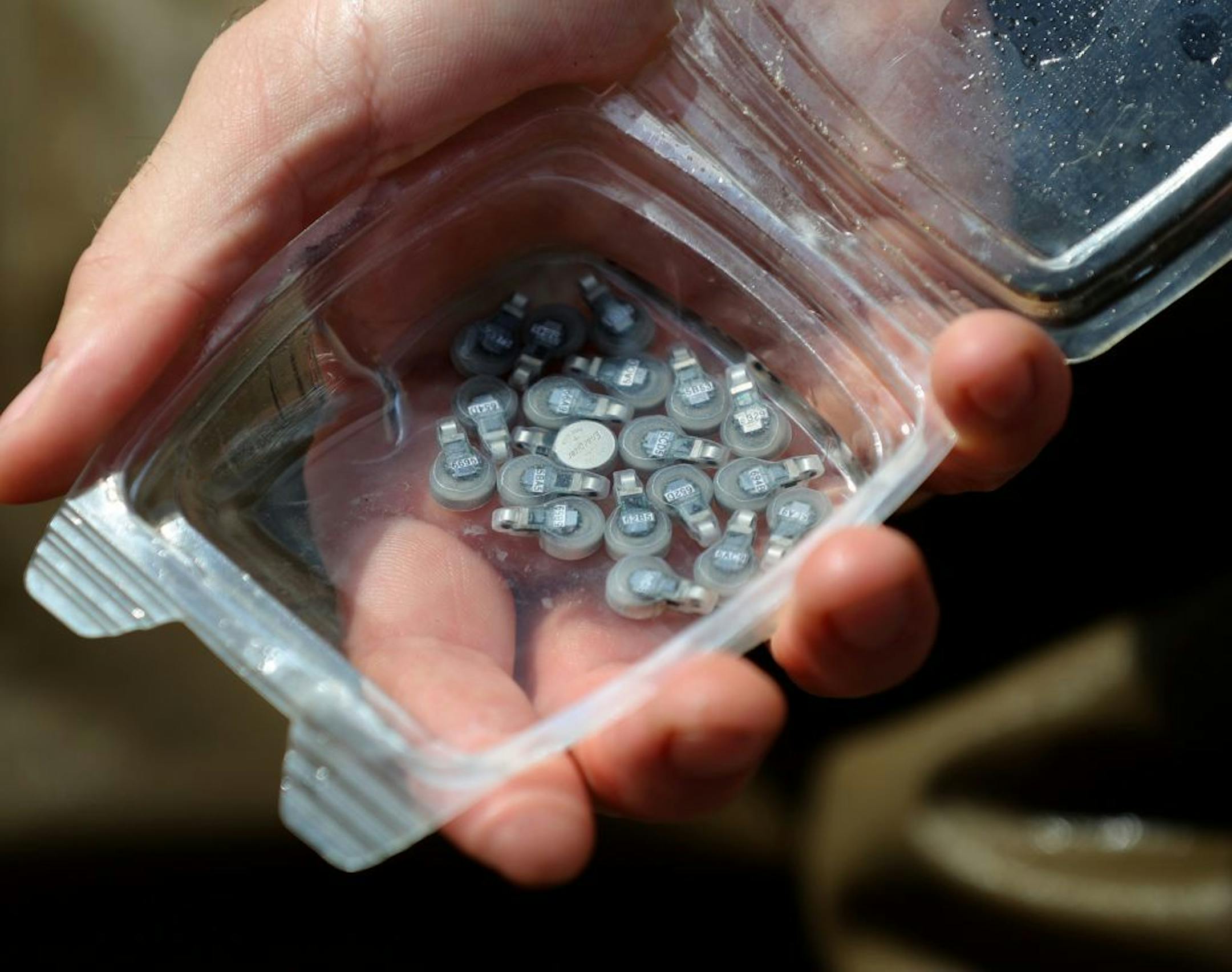 Tranmitters to be implanted in common carp taken from the Mississippi River by shocking the water with a strong electrical charge to temporarily stun the fish Tuesday, Sept. 17, 2019, in Genoa, WI. The fish were implanted with transmitters to track their movement when they were released back into the Mississippi River to test technology placed at nearby US Lock and Dam number 8 to prevent invasive spieces of carp from breaching the dam and moving up river.