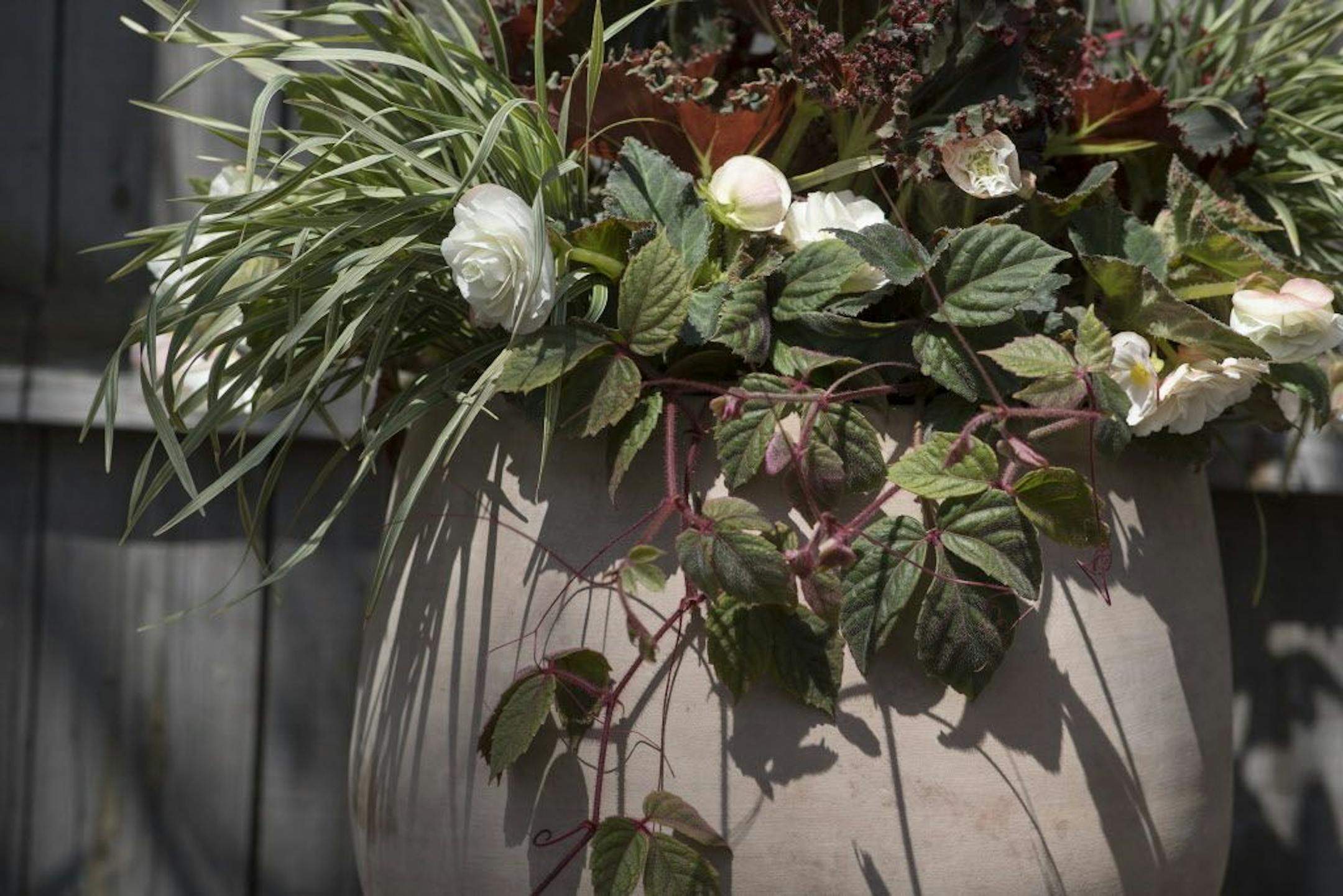 For the recipe for BLUSHING QUEEN, see story.
