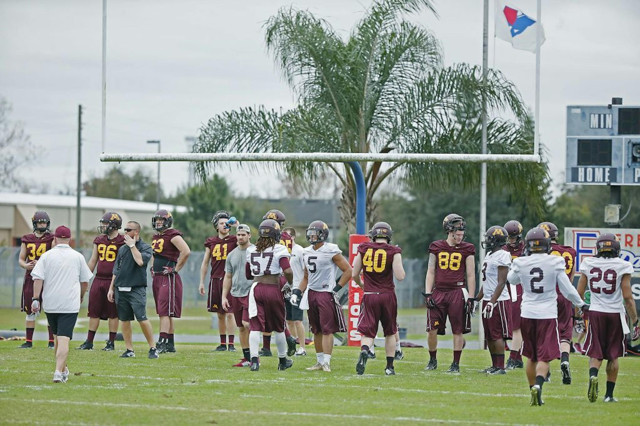Minnesota football players practiced beneath a palm tree at Freedom High School, Friday, December 26, 2014 in Orlando, FL.