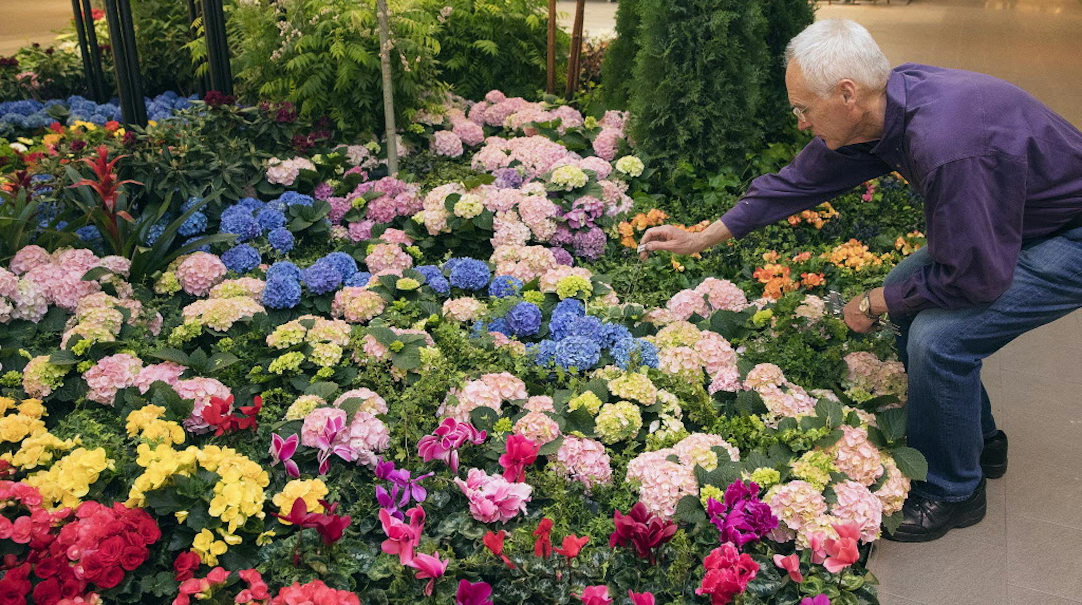 Dale Bachman marks a variety of flowers at the Bachman's/Galleria flower show "Spring is in the Air." [ Saxo #1005666928 flowers032718