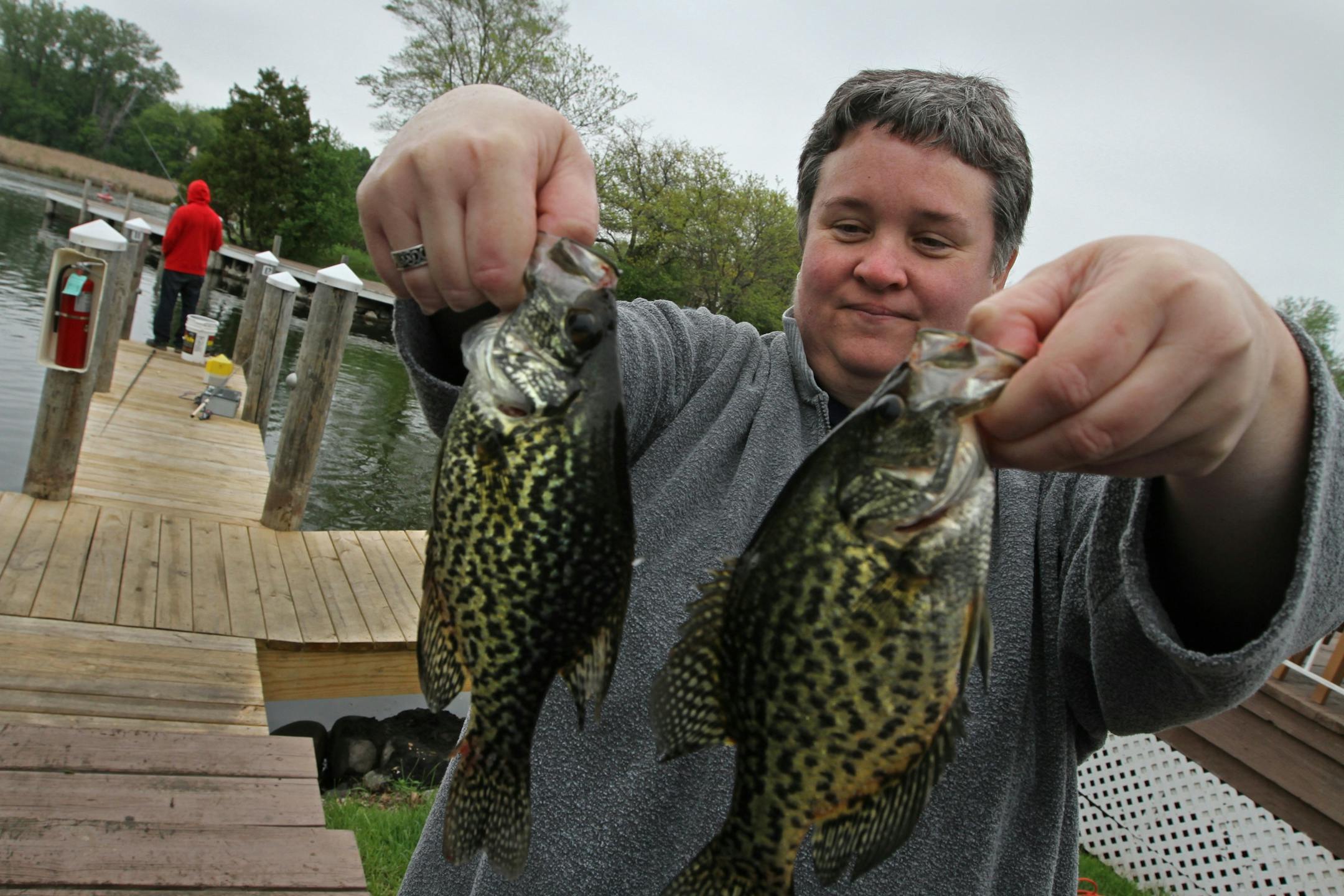 Misty Poppe of Minneapolis held up several crappies caught by her son, Emilio, age-9, during the Minnesota Bound's Crappie Contest on Lake Minnetonka. Under sponsorship by Ron Schara's Minnesota Bound television show, the contest pre-registered over 1000 anglers for the event based out of Lord Fletcher's on Lake Minnetonka, 5/5/12.