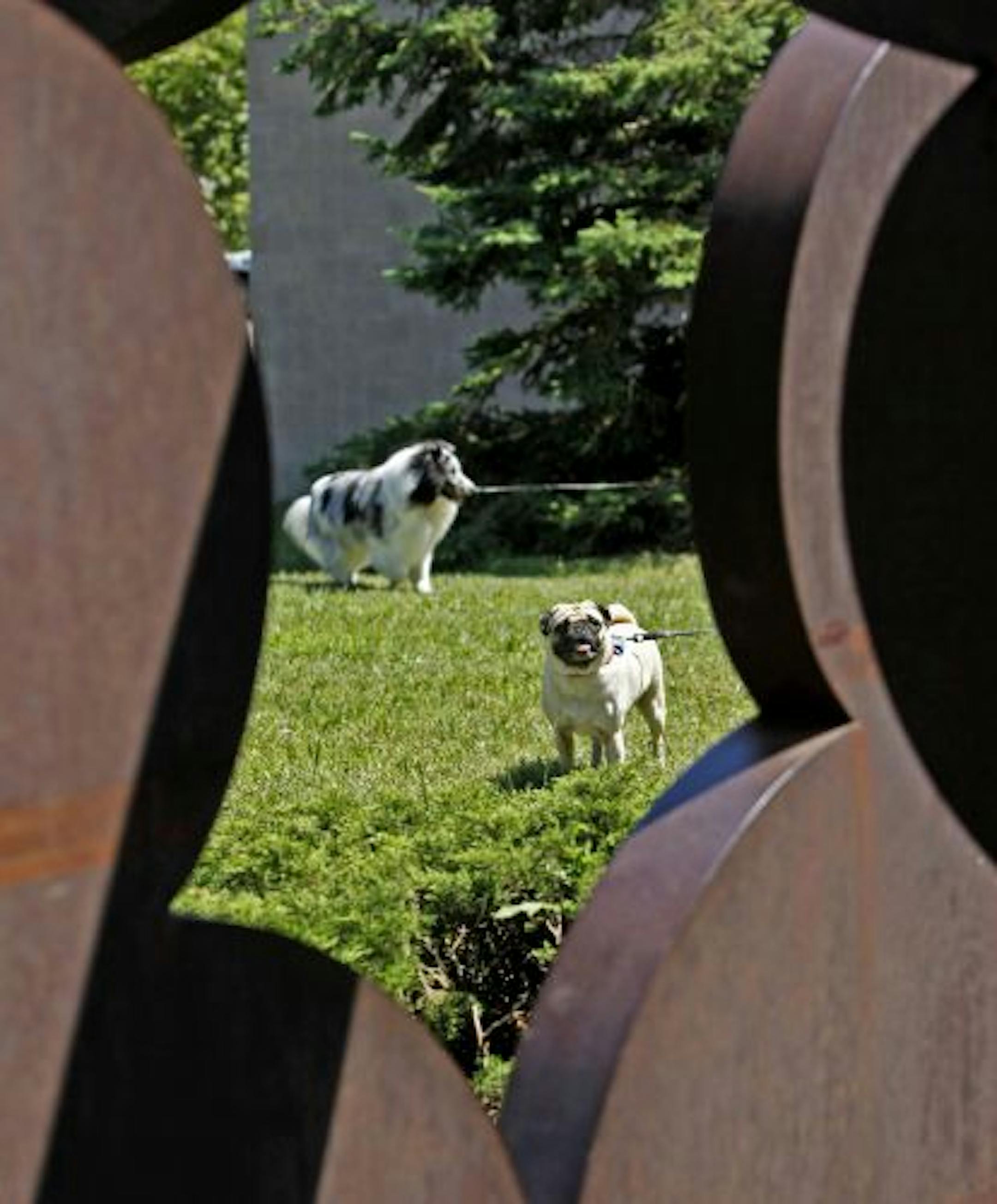 Dog walker Diane Thurman was on the other end of the leash with these two dogs in MLK Park. She favors the dog-park idea because dogs "behave different off-leash."