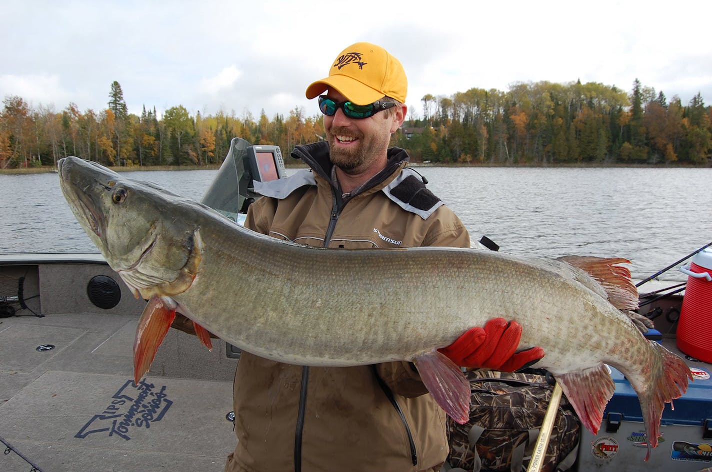 Matt Parker caught this 51-inch muskie in October 2009 on a lake in Itasca County. The fish hit a soft plastic jerkbait.