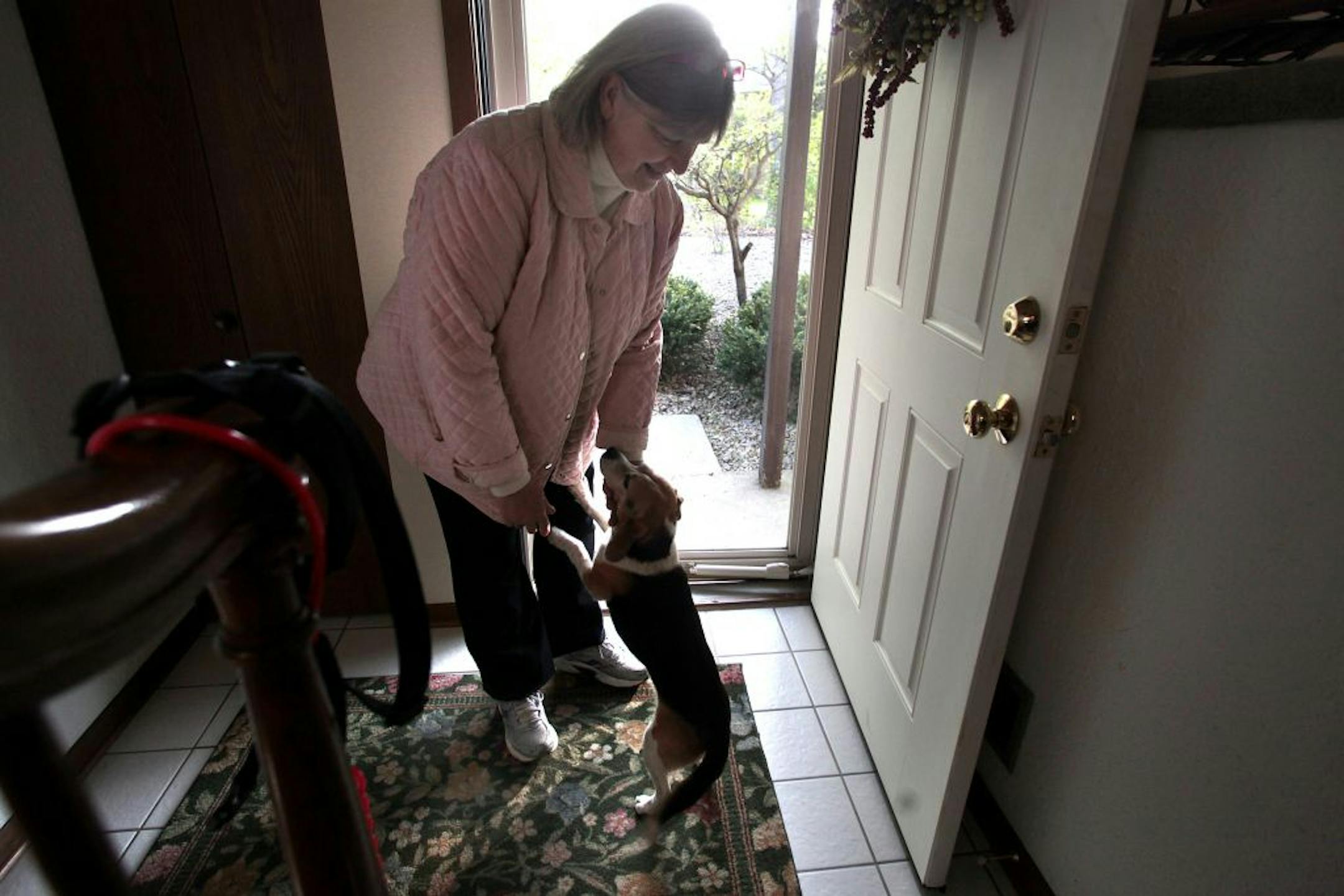 Every morning at 8, Marilyn Jenkins walks Blossom as a favor to a friend.