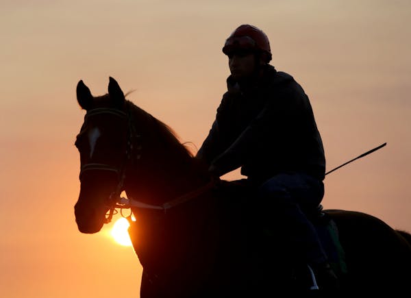 As the sun rises a race horse and rider head to the track to train in preparation for the start of live racing Saturday and seen Thursday, May 19, 201