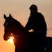 As the sun rises a race horse and rider head to the track to train in preparation for the start of live racing Saturday and seen Thursday, May 19, 201