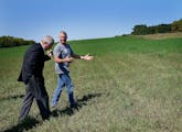 Agriculture Secretary Tom Vilsack, left, walked with farmer William “Chip” Callister Thursday in what should be a knee-high third crop of alfalfa 