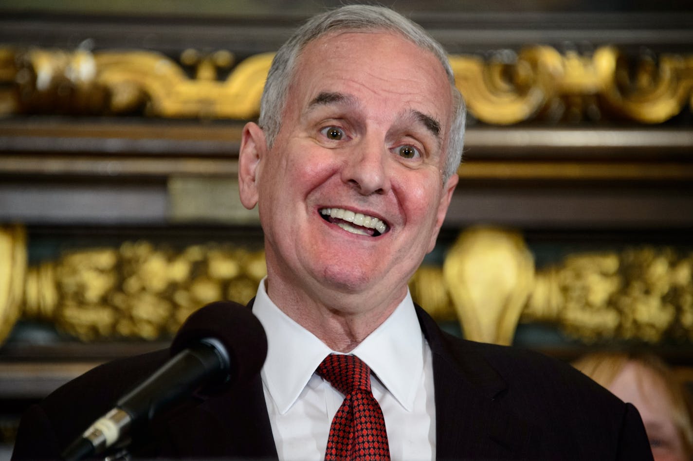 Gov. Mark Dayton