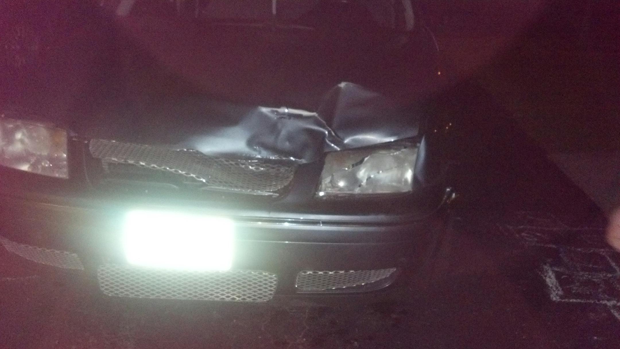 A bear lost its battle with a Volkswagen Jetta along a dark road in Lino Lakes.