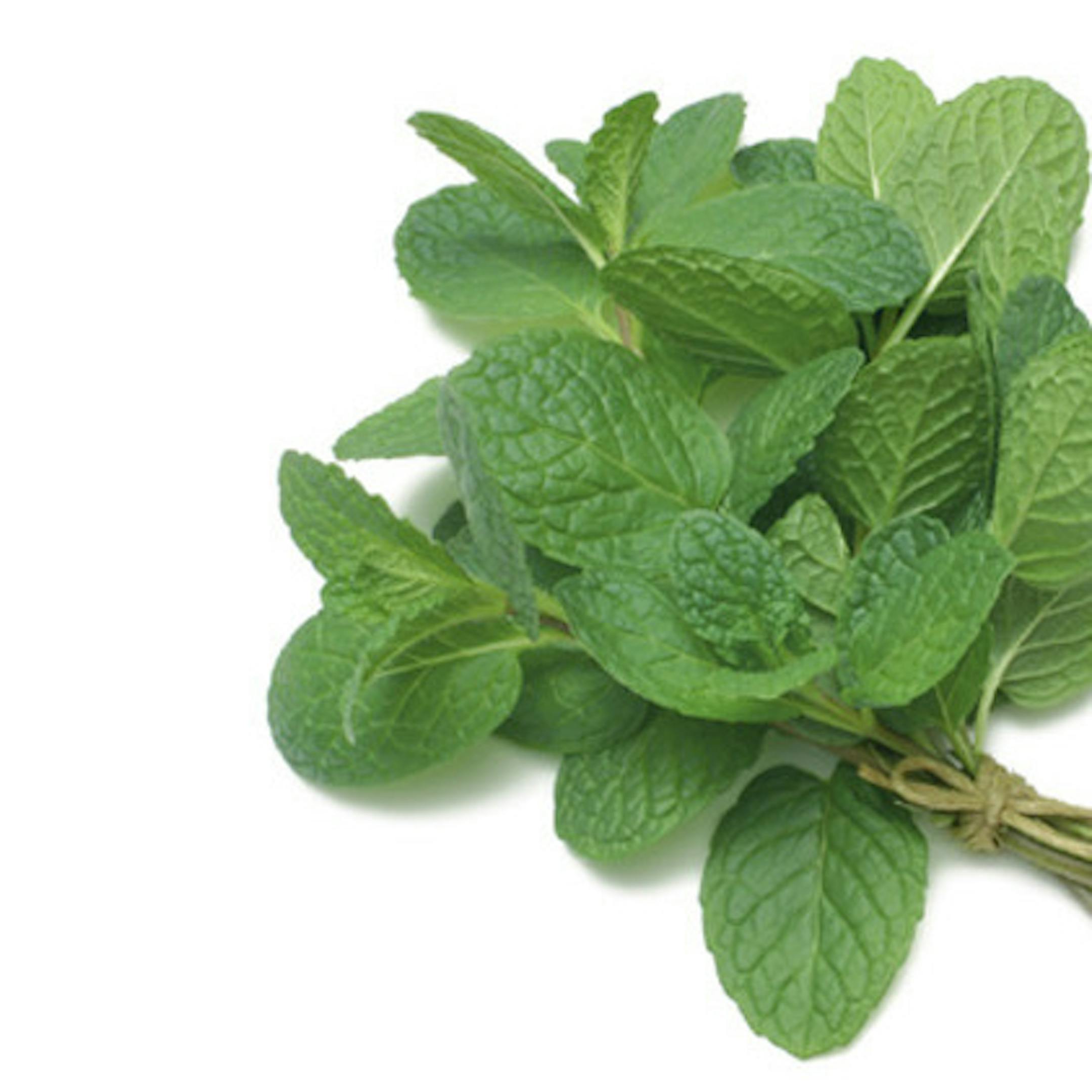 iStockphoto.com Row 1: Basil, marjoram, rosemary, chives Row 2: Mint, cilantro, dill, lemon balm Row 3: Mixed, oregano, parsley, sage Row 4: Spearmint, thyme, red clover, lavender ORG XMIT: MIN2013081609041109