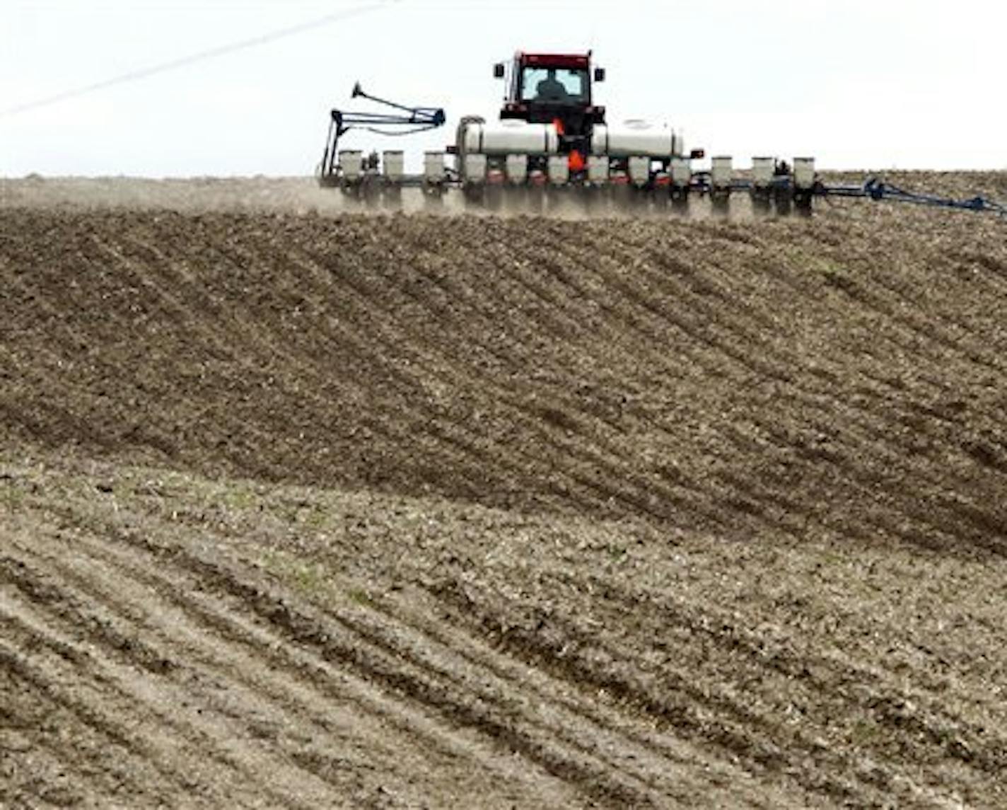 Minnesota farmers are keeping a close watch on melting snow and water levels in ponds, streams and rivers. Flooding is likely in some areas but may have dried up by planting time for corn and soybeans in late April and early May. File photo of corn planting.