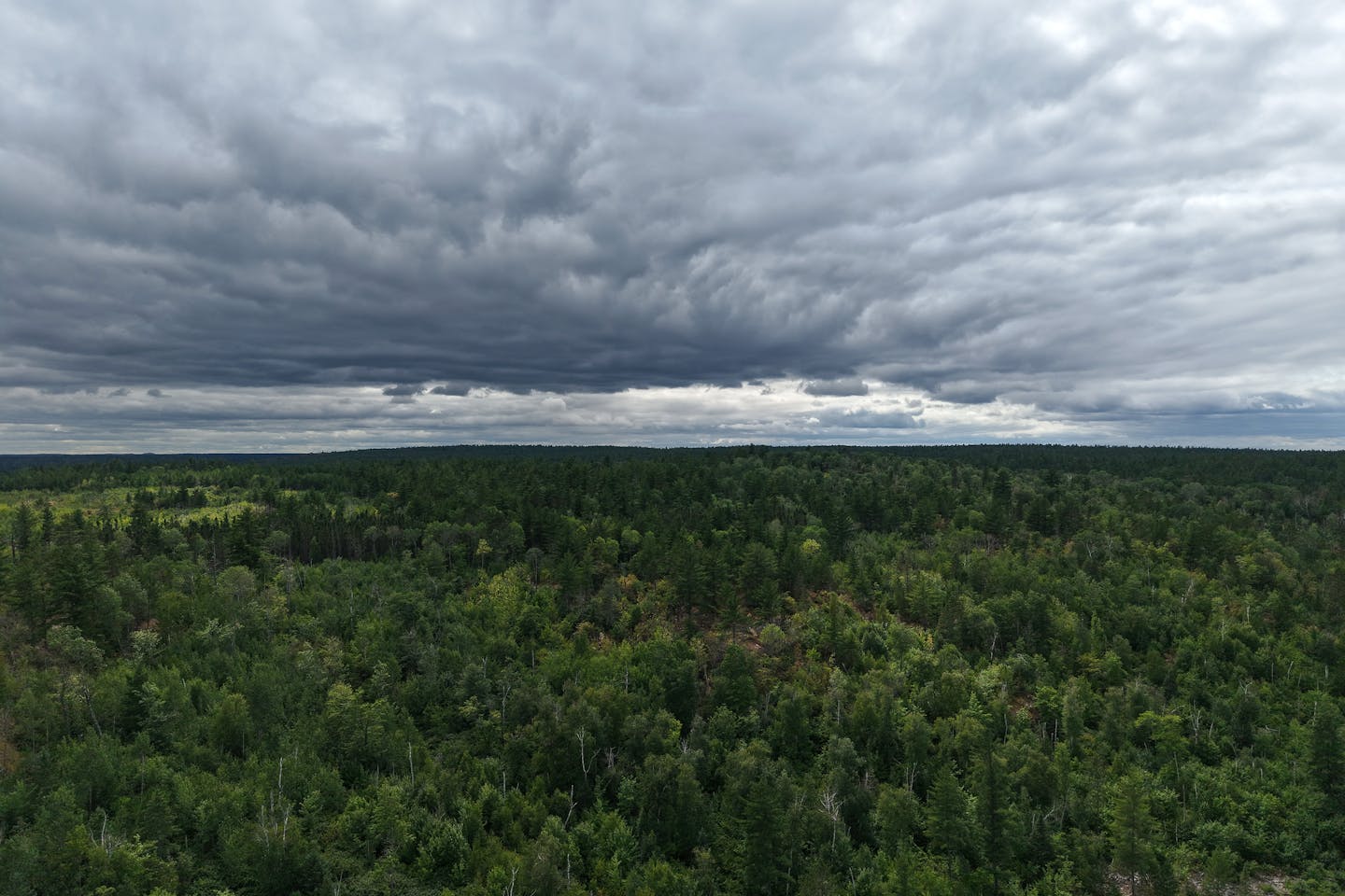 US Forest Service working on plan to reopen parts of BWCA