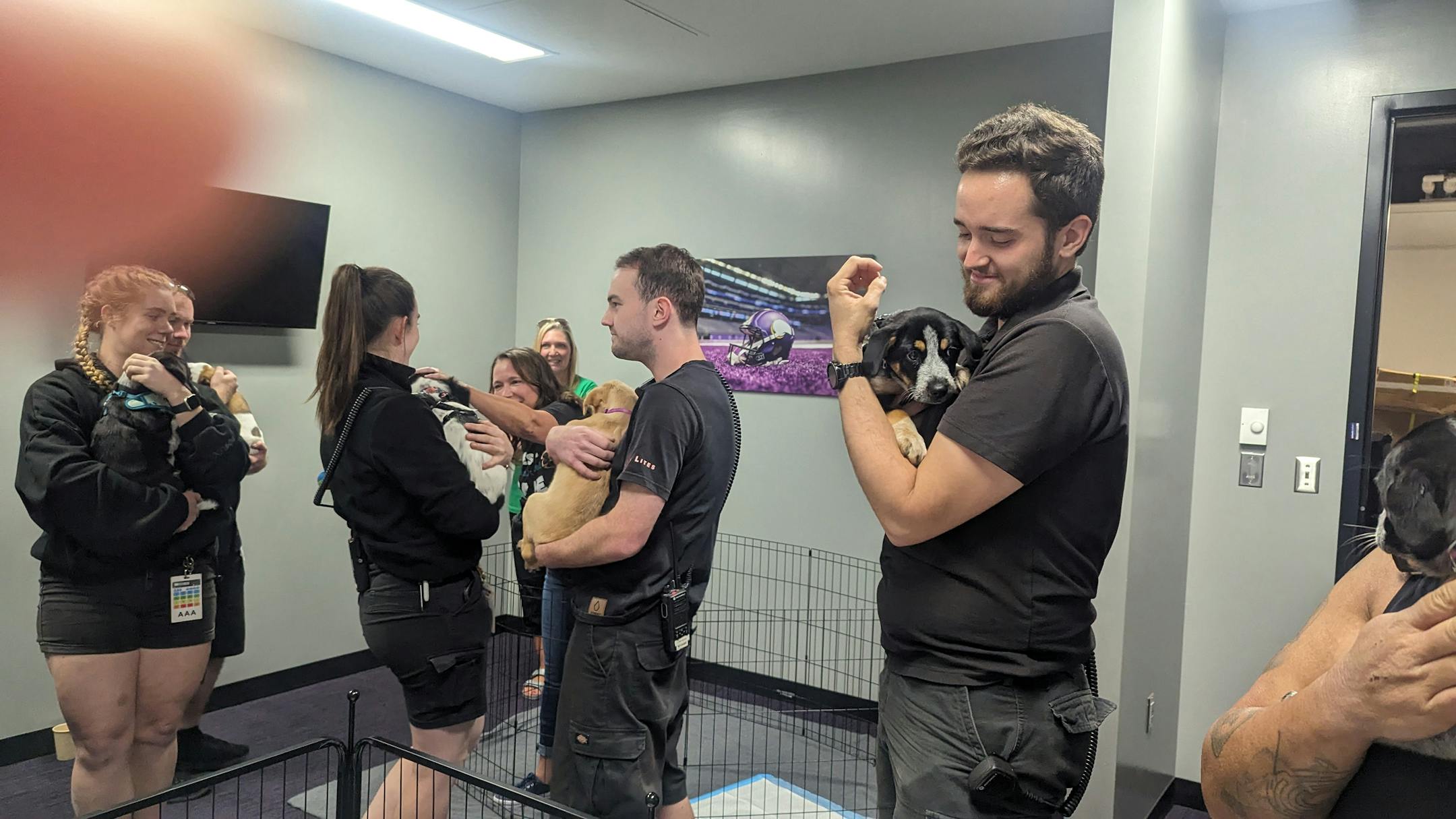 A Minnesota animal rescue group got an unusual request from crew members in town for Ed Sheeran's concert Saturday at U.S. Bank Stadium. They wanted to play with puppies. The concert workers sent a message to Princeton-based Ruff Start Rescue asking the non-profit if it could help put together a puppy party to help crew members relax before the concert.