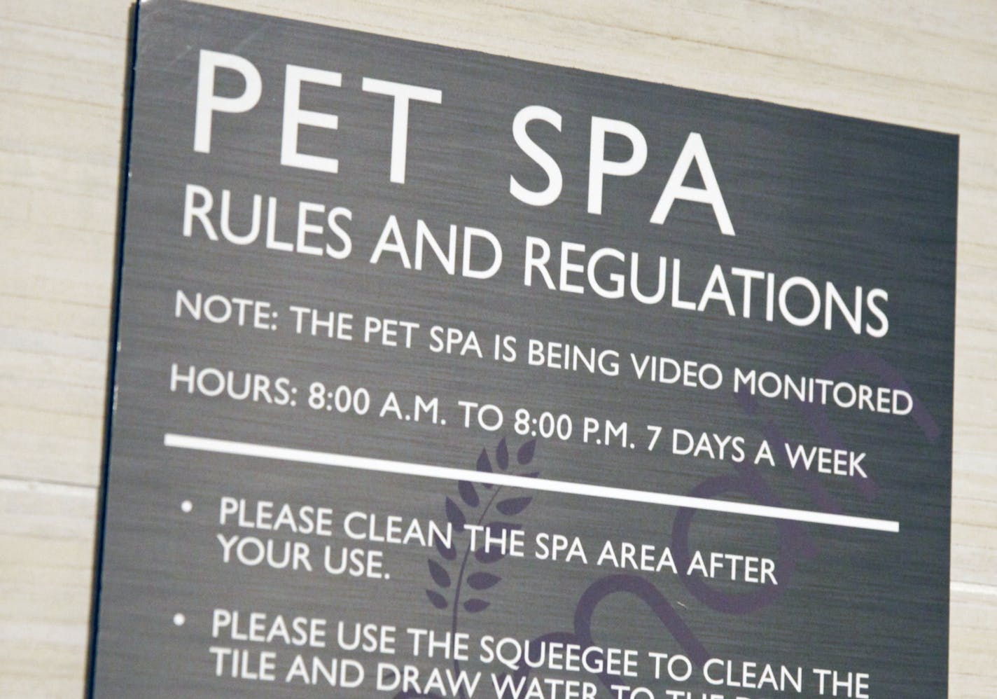 At Mill and Main apartments, Sharon Fong gave her schnoodle, Bexley, his weekly bath in the complex spa for dogs.]rtsong-taatarii@startribune.com