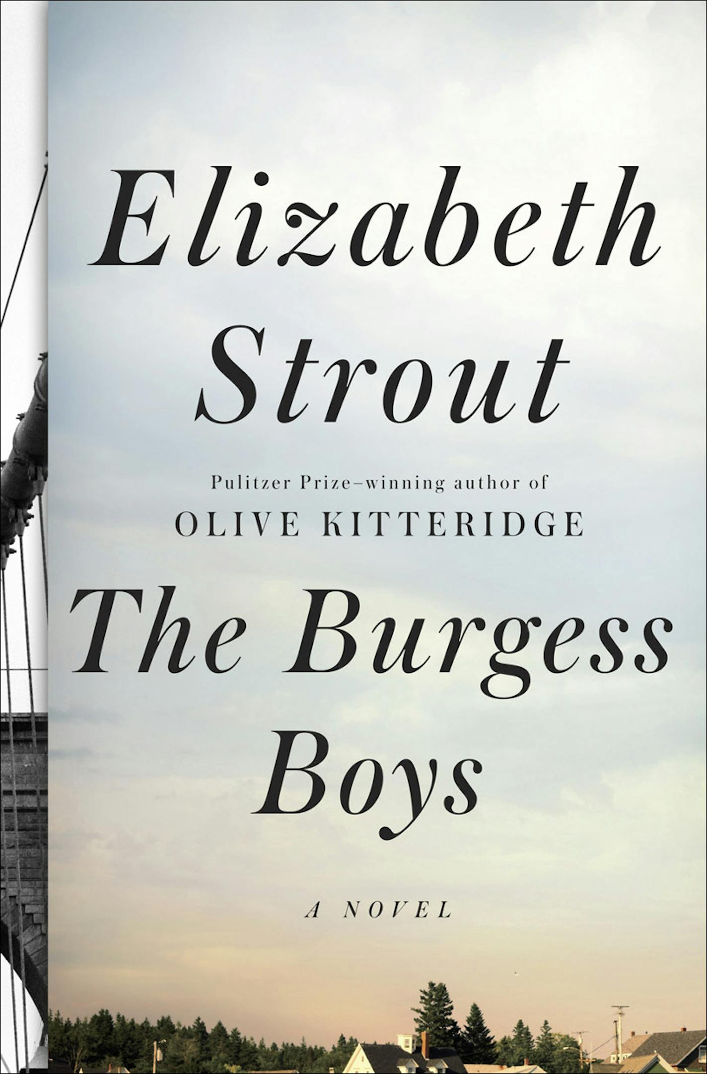 THE BURGESS BOYS by Elizabeth Strout