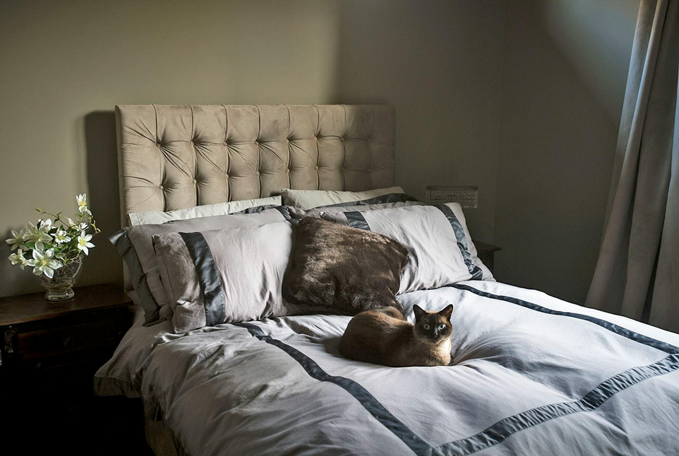 Mishka lounges in one of the second floor bedrooms.