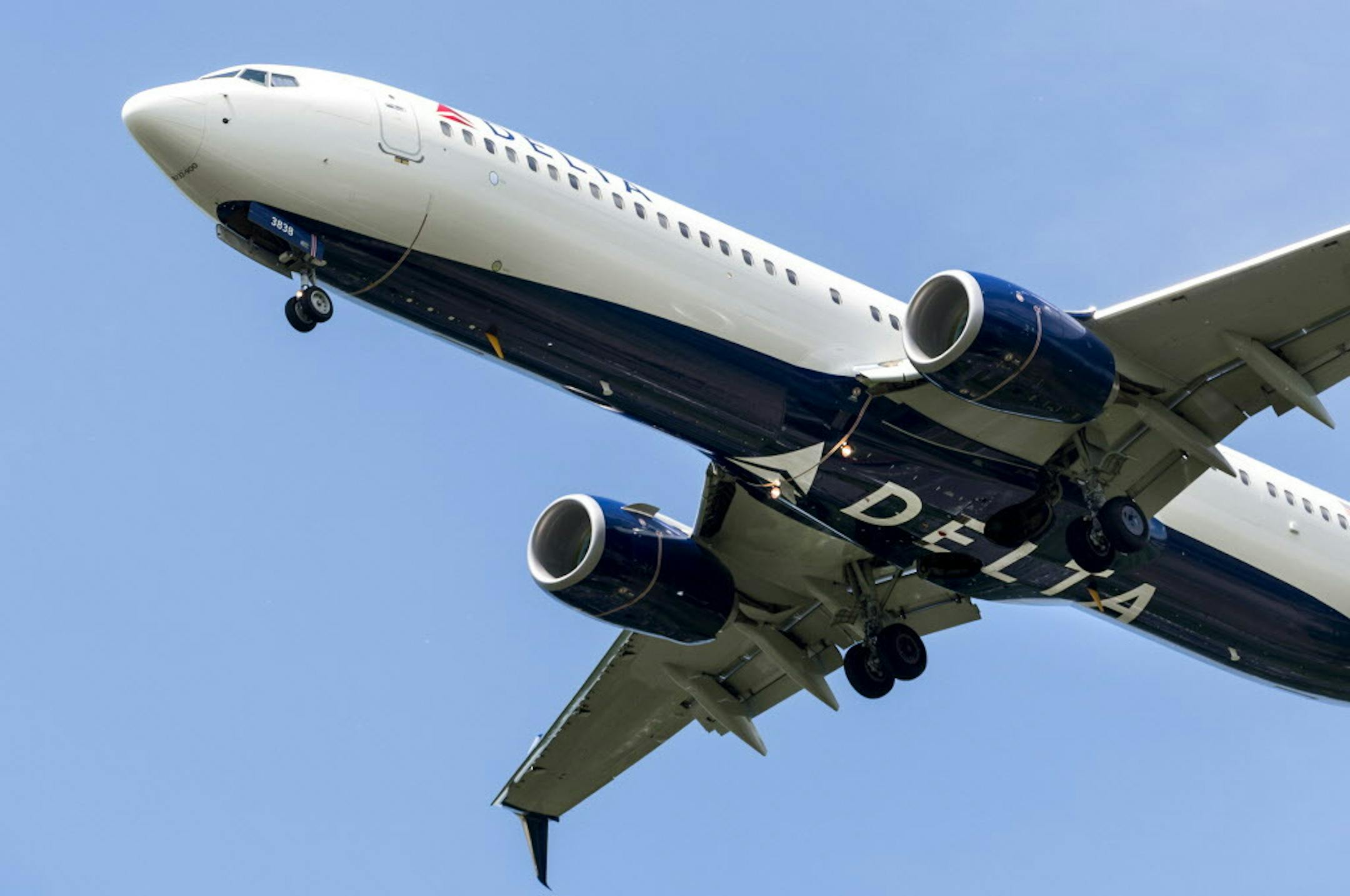 A Delta plane lands at the Seattle-Tacoma International Airport, May 27, 2015. A website is tricking people into thinking they're dealing with Delta Air Lines when arranging for their pets to fly on jets, the Atlanta-based company maintains in a new federal lawsuit.