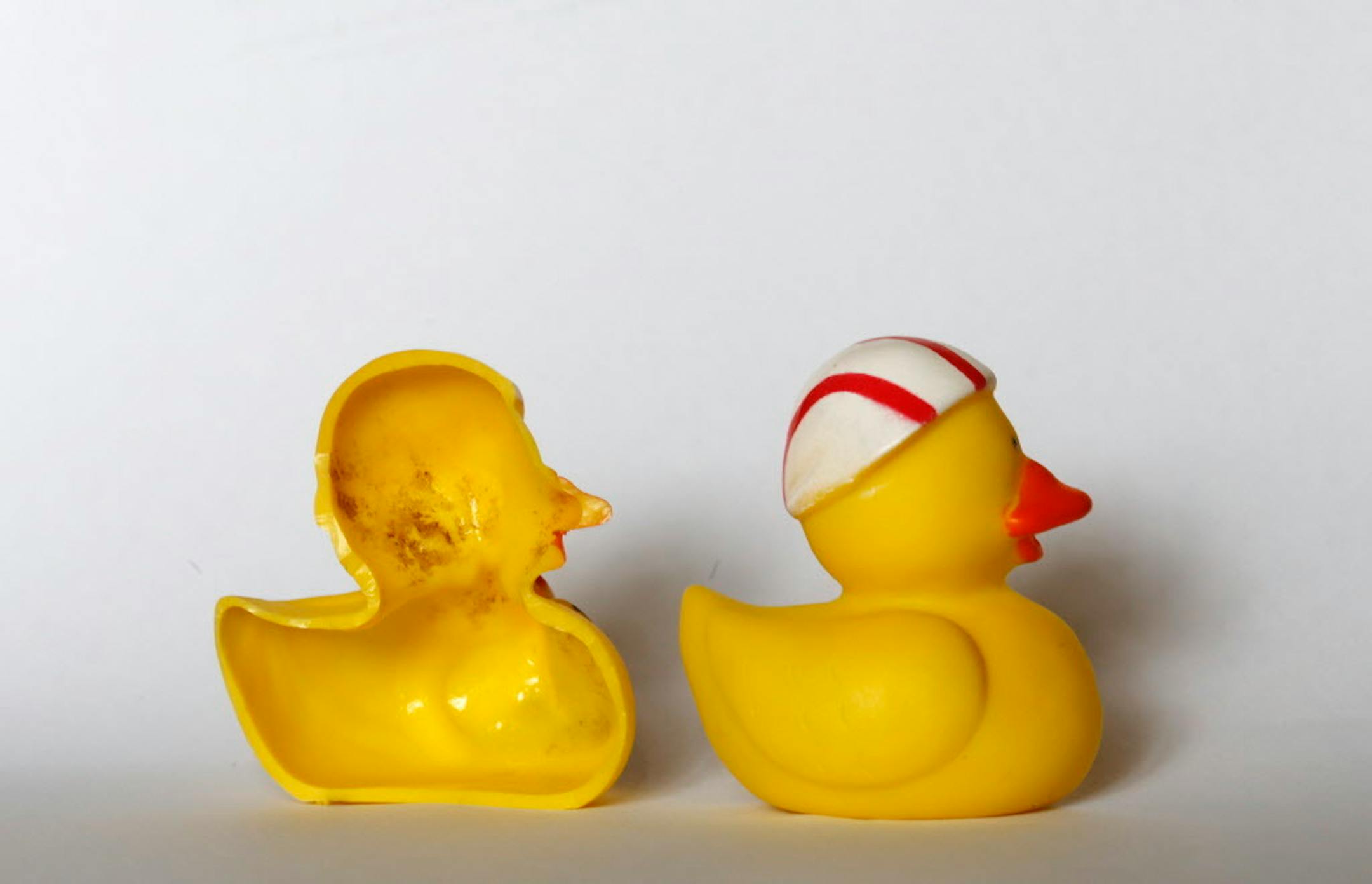 The inside of a rubber duck after it was cut open in Nauen, Germany.