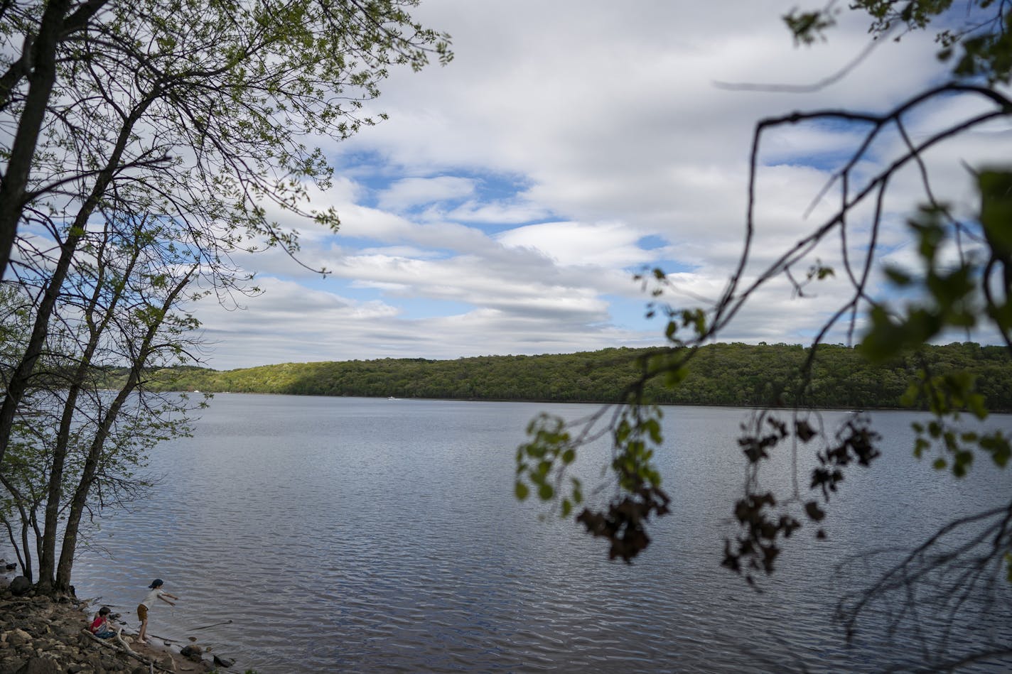 Kids played on the beach on the St. Croix River at Afton State Park in May.