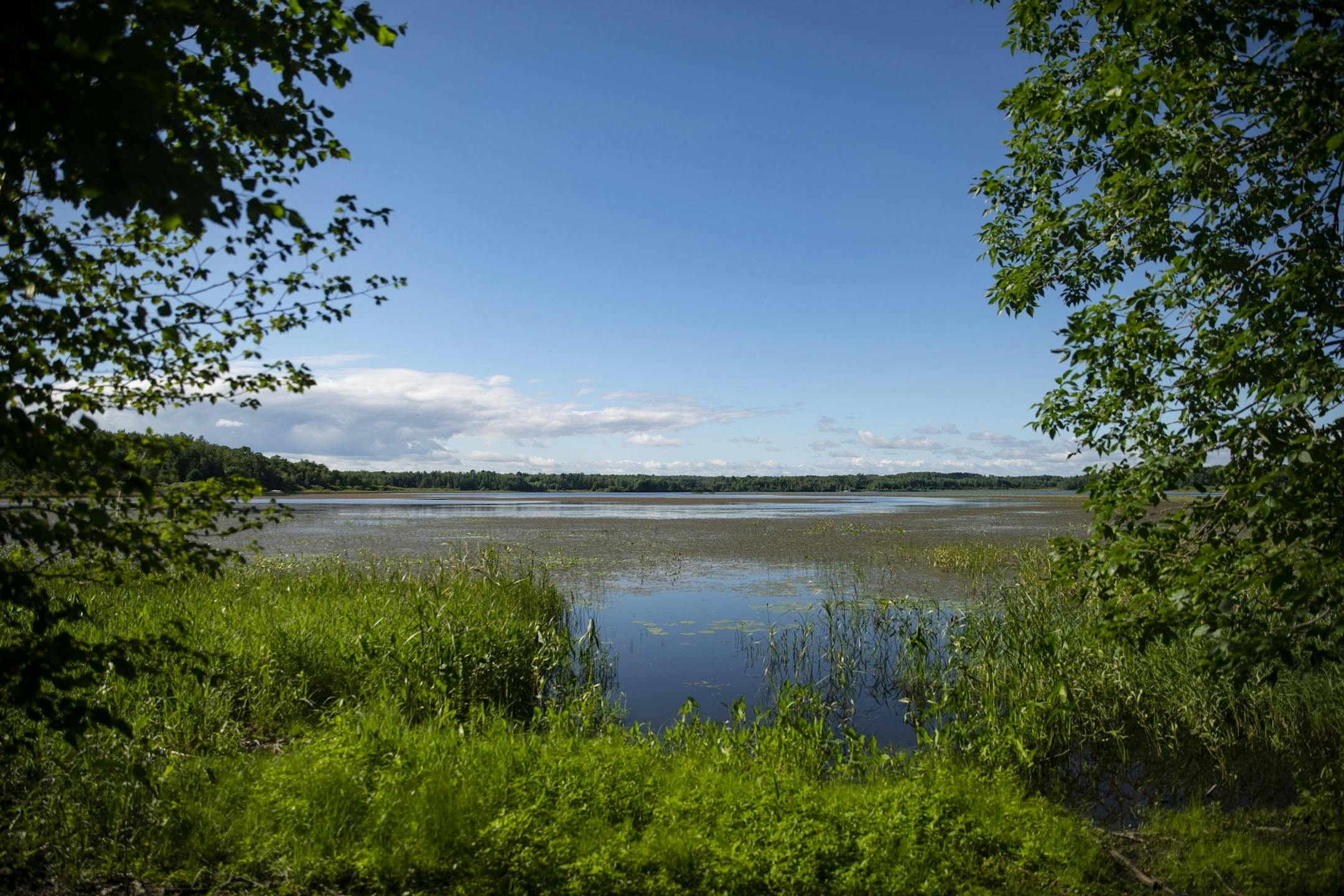 Lindi Mae Carlson recently sold a lakeside property in Carlton, Minn. to an out-of-state buyer who toured the property virtually. The property sits on Hay Lake.