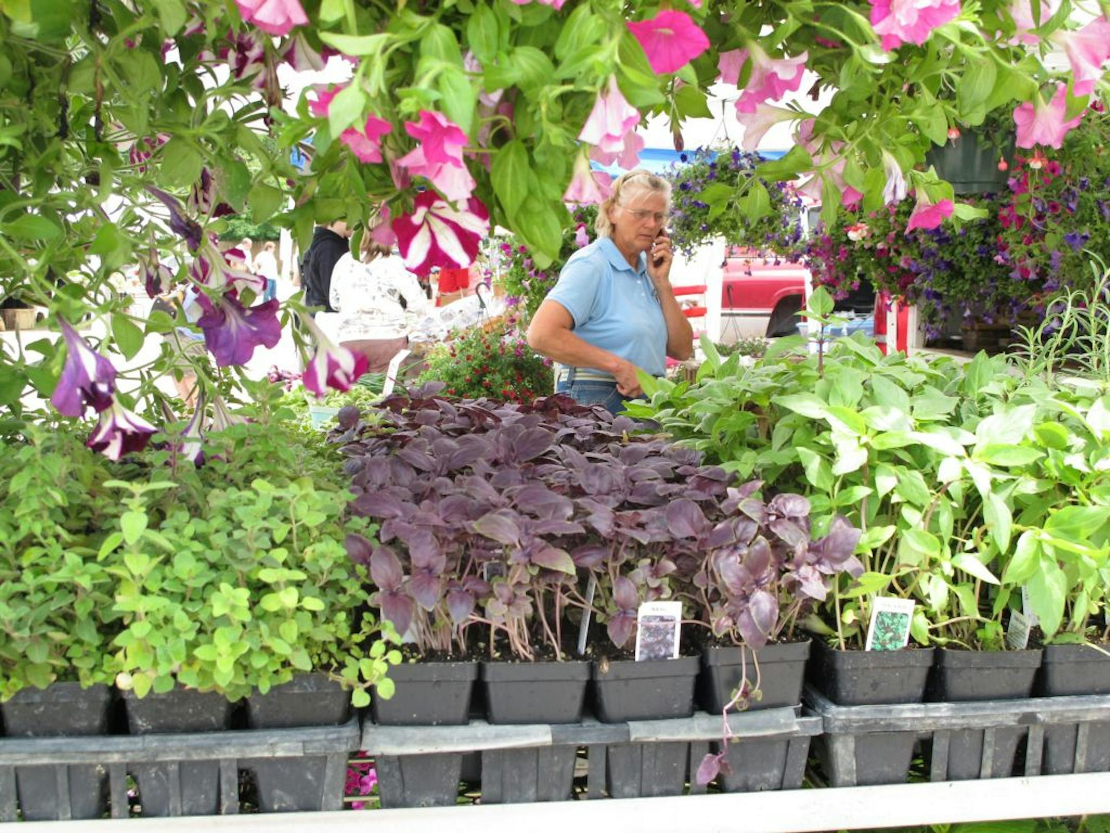 Margaret Pflaum of Pflaum Farms in Farmington sold snap peas, flowers, herbs and other plants during the Lakeville Farmers Market last week.