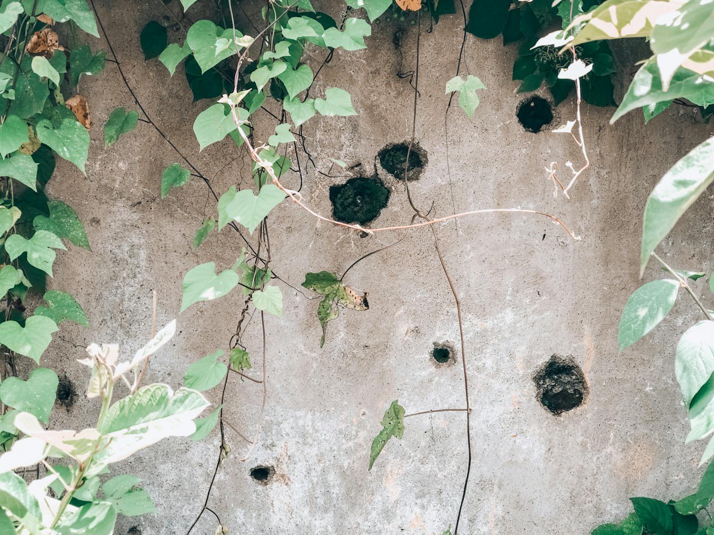 A house at El Mozote, in El Salvador, shows the marks of heavy artillery fire from the 1981 massacre there.