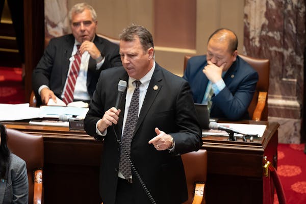 Sen. Nick Frentz, DFL-North Mankato, speaks on the Senate floor in the State Capitol where he has sponsored a bill to streamline the permit process fo