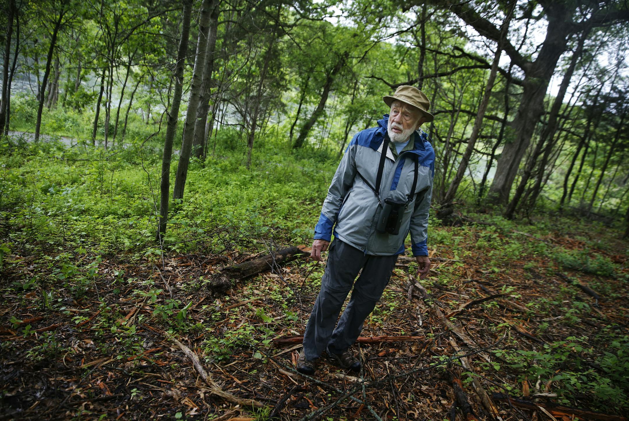 Tom Bell, a retired Park High School biology teacher, regularly hikes through Cottage Grove Ravine Regional Park. Washington County is now removing much of that bad stuff, and Bell has taken notice of the more open space .] Richard Tsong-Taatarii/rtsong-taatarii@startribune.com