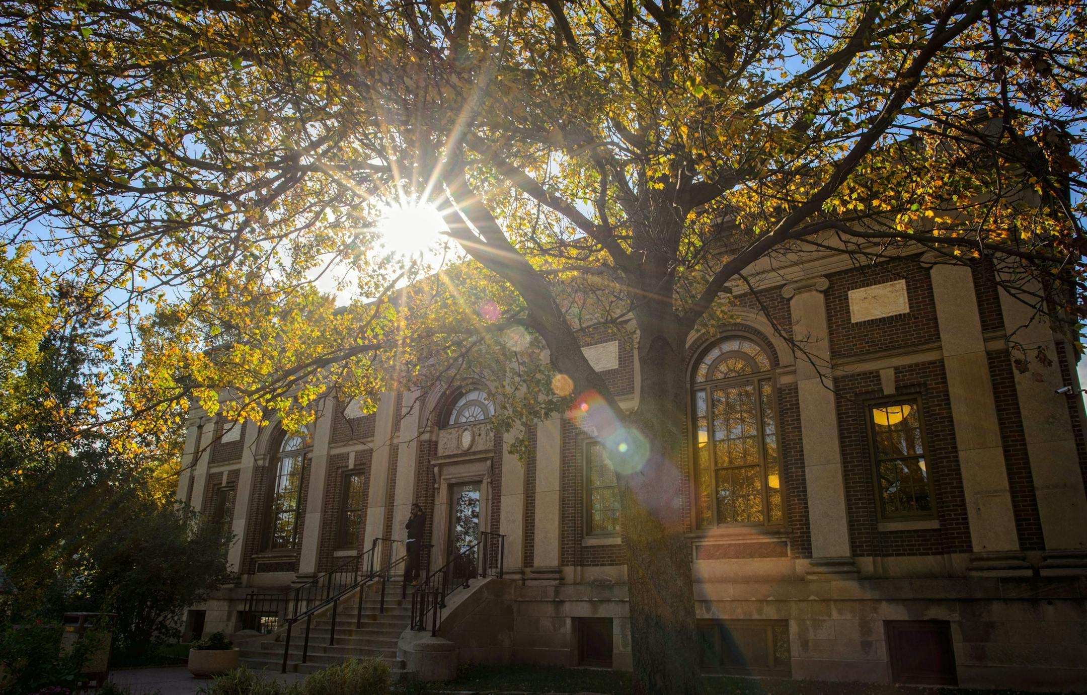 The St. Paul Public Library System is seeking a new owner for the Arlington Hills Library, one of three Carnegie libraries in the city and built in 1916 and listed on the National Register of Historic Places, who will retain it as a neighborhood and cultural asset. The library itself is moving to modern quarters on the East SIde. Thursday, October 10, 2013 ] GLEN STUBBE * gstubbe@startribune.com ORG XMIT: MIN1310101733514078