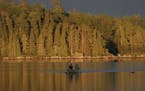 Sun broke through clouds late in the day, lighting up the eastern shore of a BWCA lake last week. Enjoying the quiet waters were Kelly and Mary Lynn S