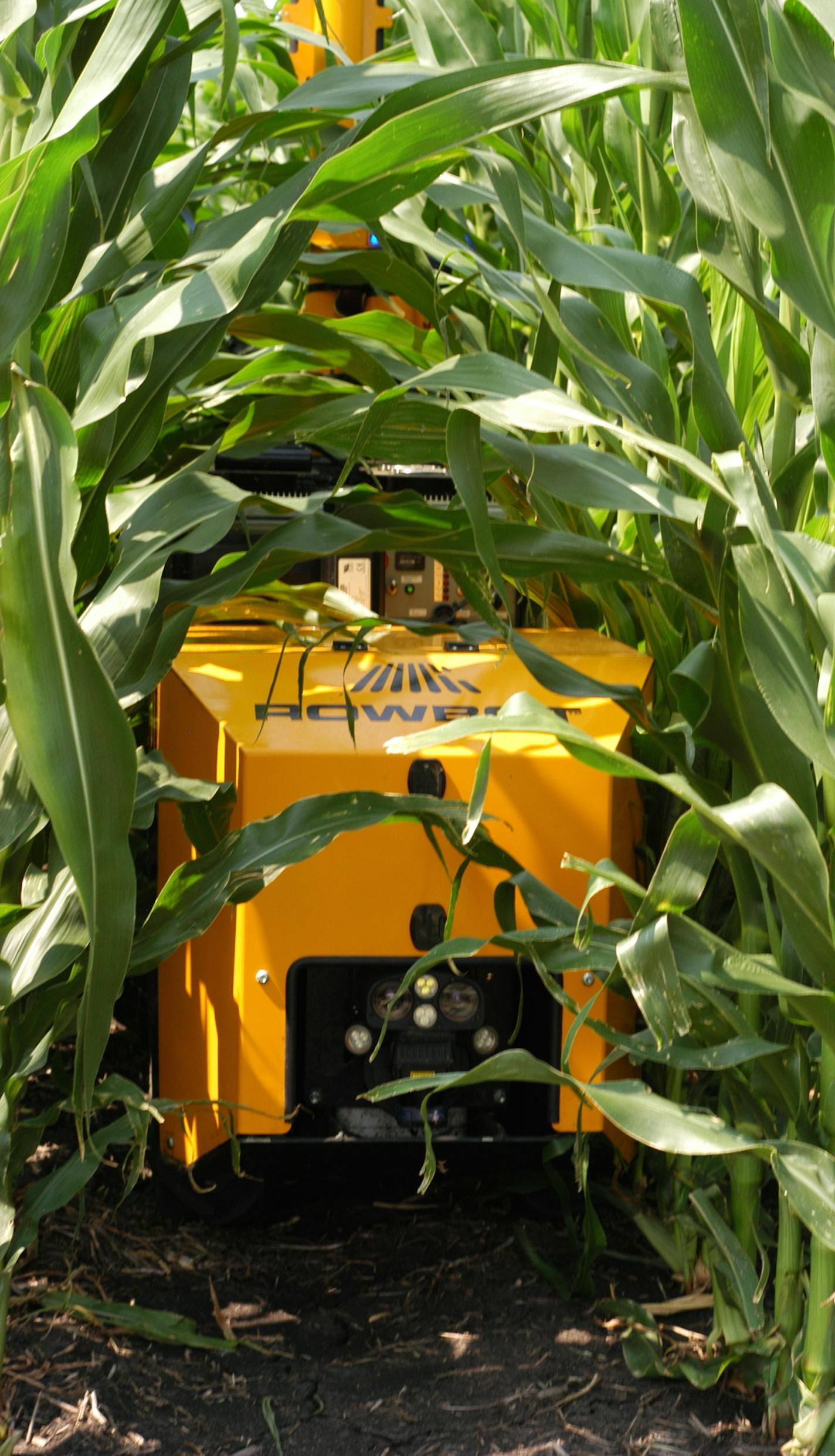 Rowbot Systems is a Minneapolis-based startup company making a robot that can drive between row crops, dispensing nitrogen fertilizer or completing other tasks. (Provided by Rowbot)