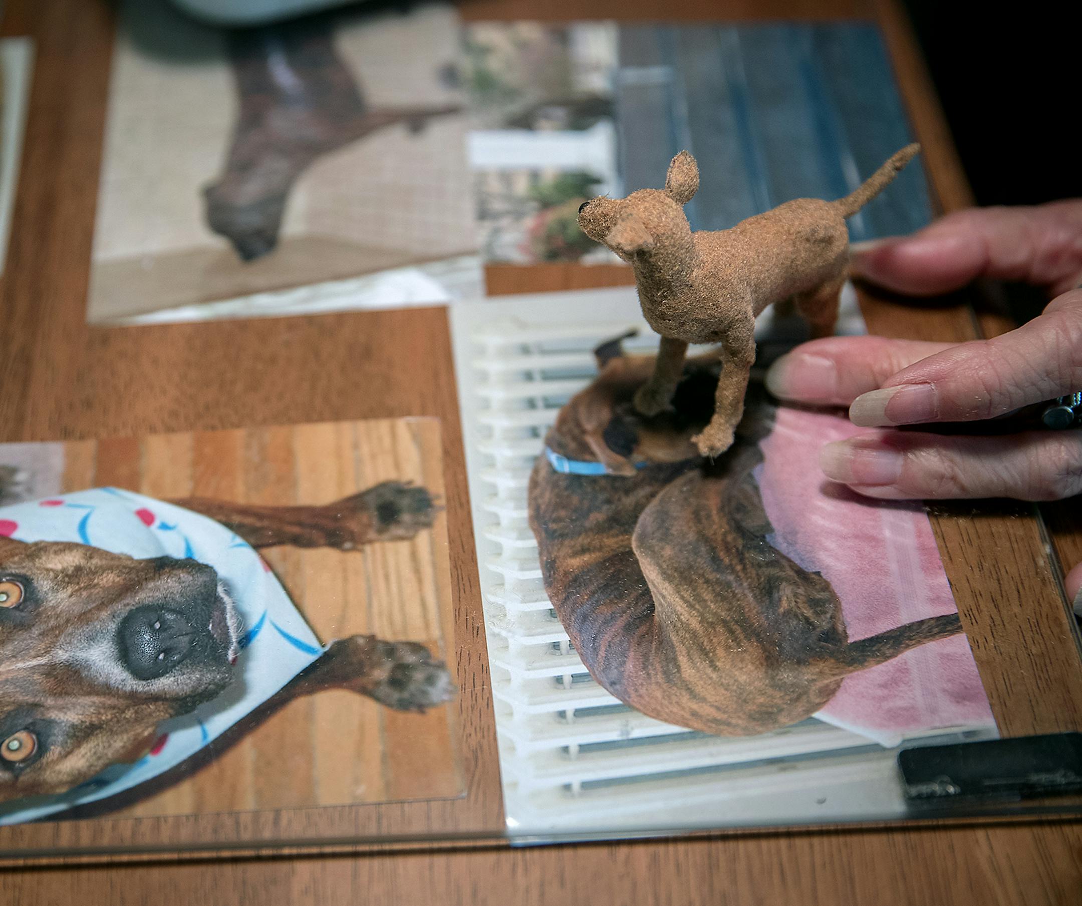 Lucy Francis worked on creating a miniature replica of a dog from an order at her home, Monday, August 6, 2018 in Hastings, MN. The Hastings woman makes a living making tiny, highly realistic, fiber sculptures of dogs. After more than 20 years at it, she's a bit of a star in world of miniature artists, with her pieces selling for $300 to $2,400 each, and some ending up in the hands of celebrities like Martha Stewart and Shirley MacLaine. ] ELIZABETH FLORES &#xef; liz.flores@startribune.com