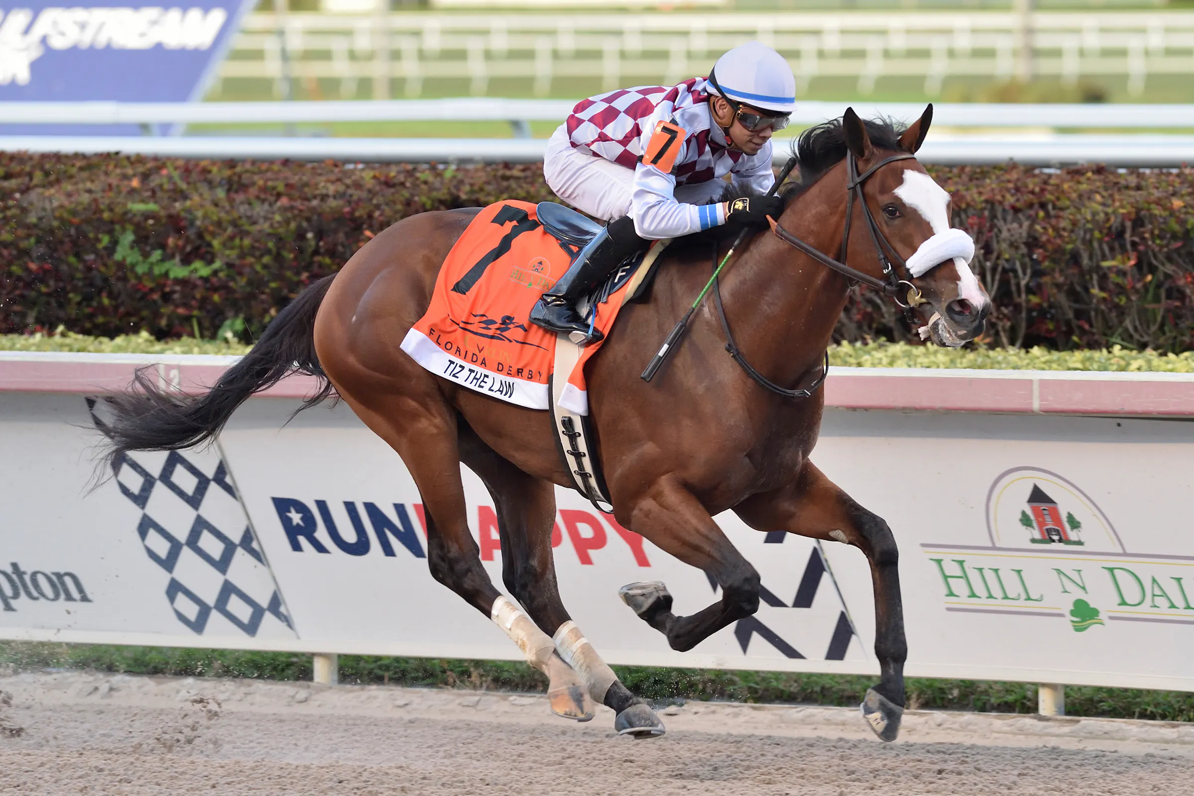 Minnesota-fed horse racing network seizes moment almost all its own