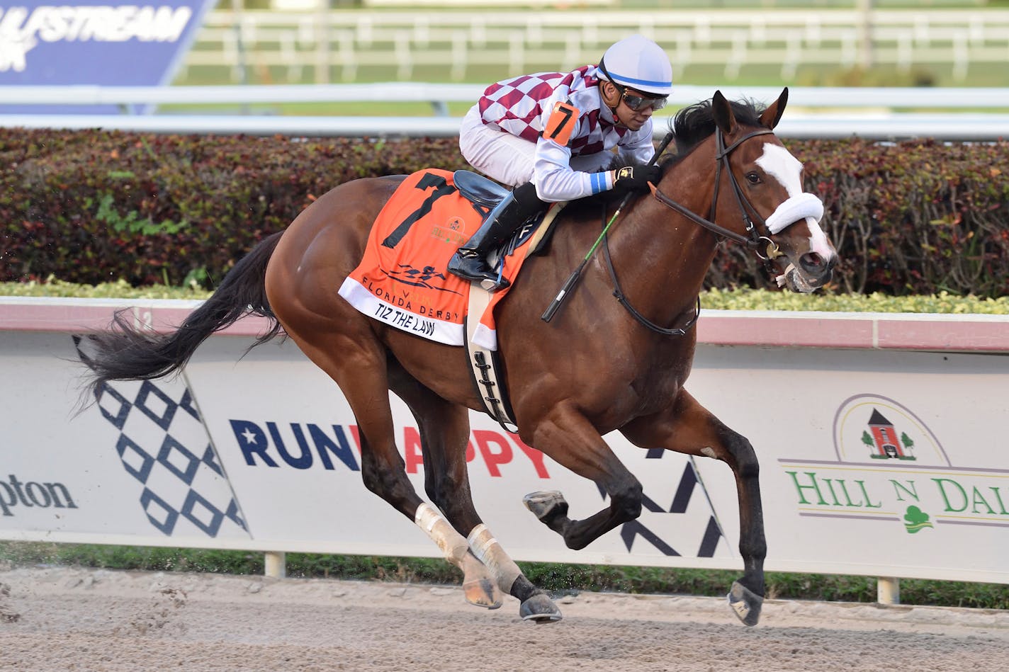 Tiz the Law, ridden by Manuel Franco, wins the Florida Derby horse race at Gulfstream Park, Saturday, March 28.