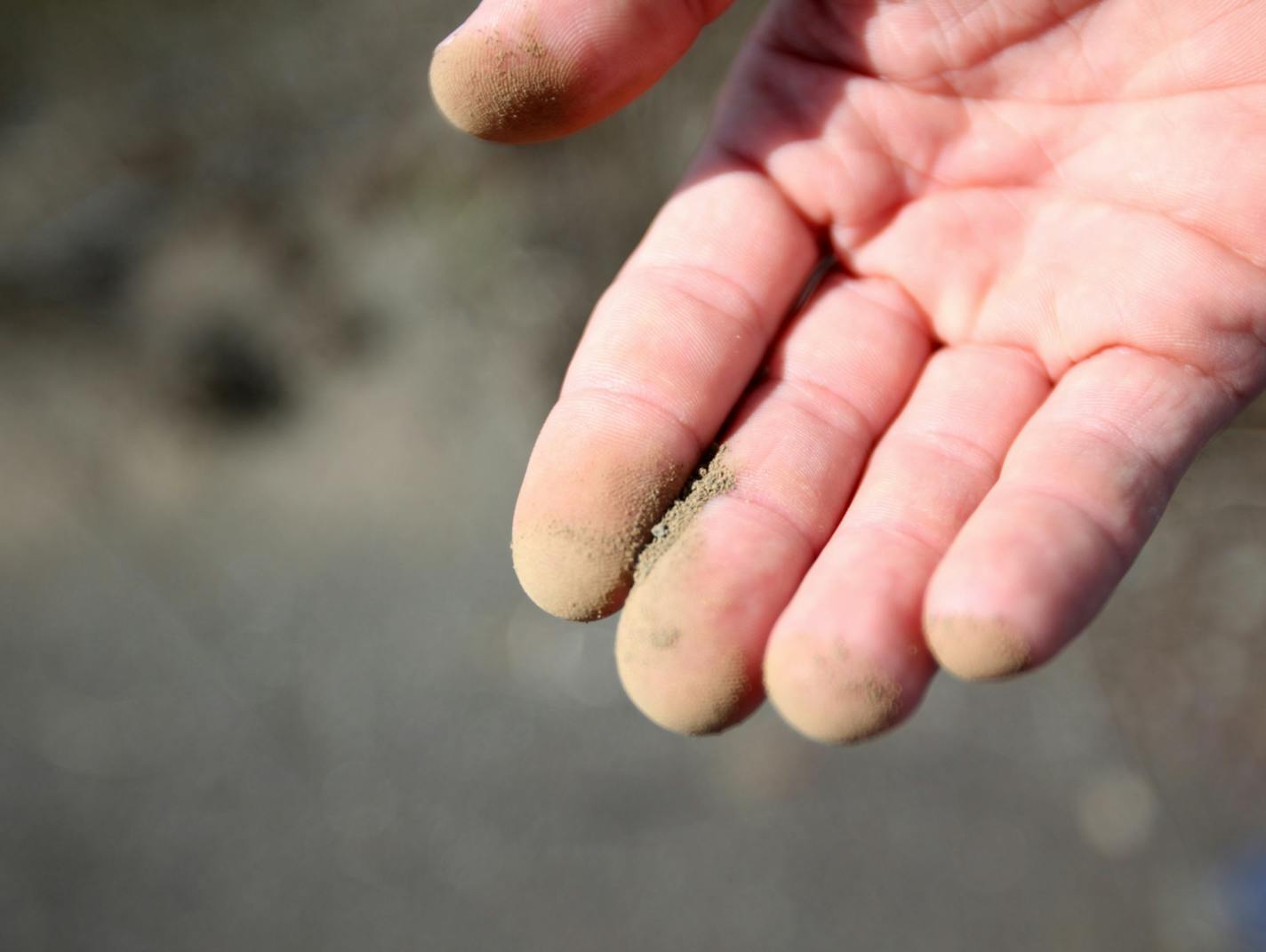 David Hughes held a little pinch of tailings from the old taconite mine that Polymet has purchased and will use to mine copper and nickel, Wednesday, September 7, 2011, in Hoyt Lakes, Minn.