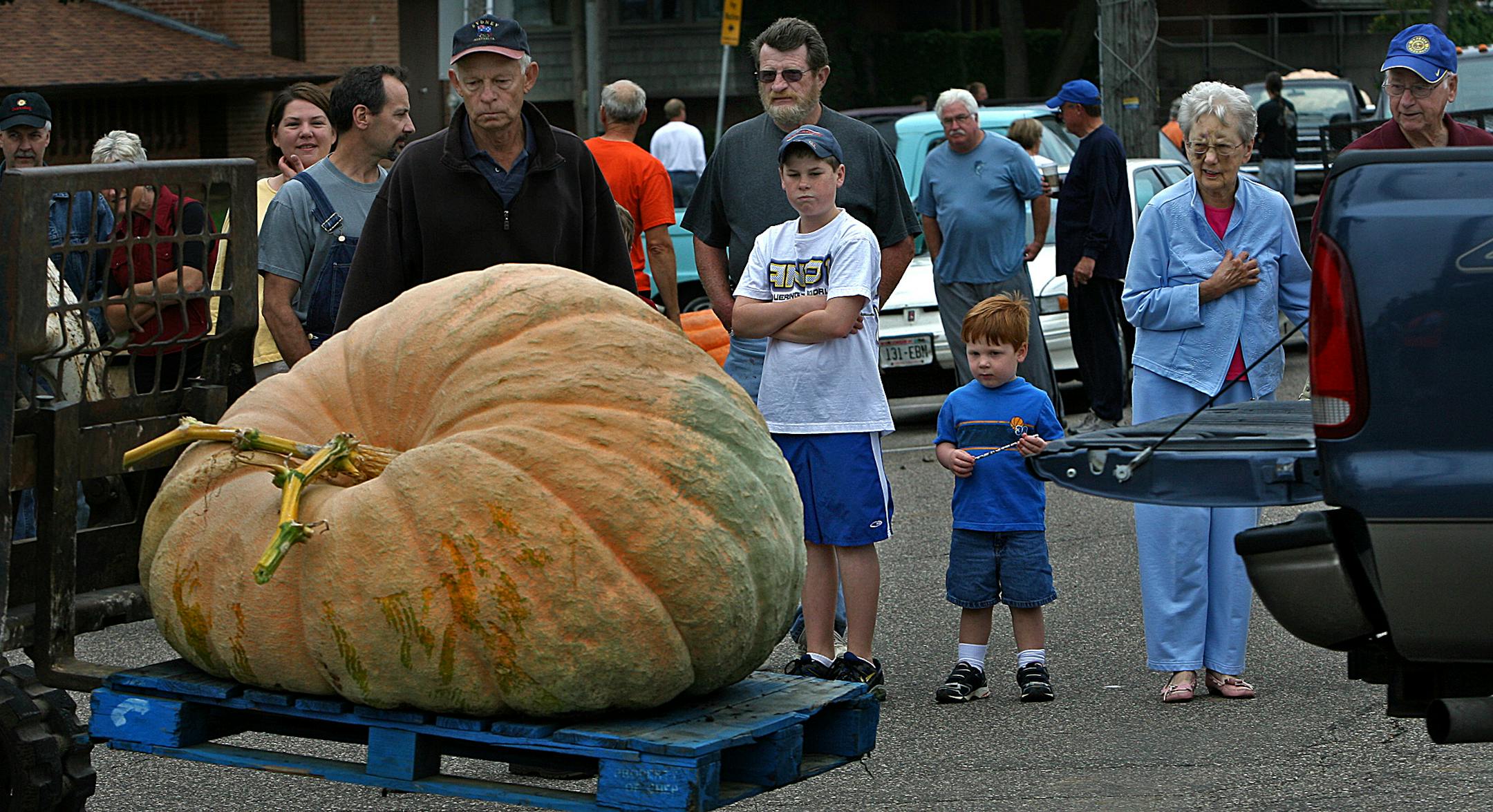 One of the many pumpkins entered in the contest