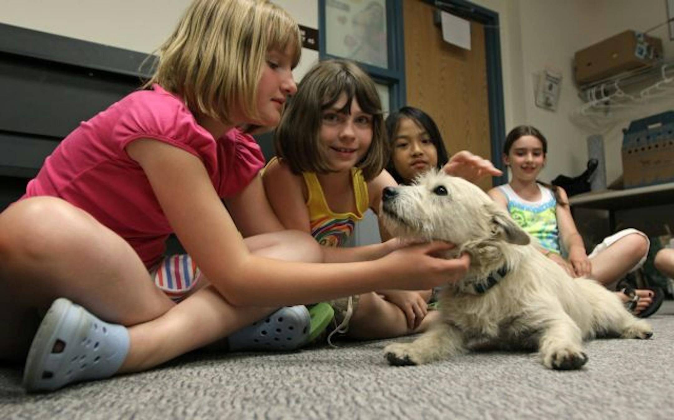 Melvin was the life of Claire Deitering's birthday party at the Animal Humane Society in Golden Valley, which hosts kids' birthday parties for a $150 fee. Claire, at left, got to pick a "guest" animal for the party. Her friends, from left, Grace Bruins, Amelia Seng and Dana Caron, took turns petting Melvin, a West Highland terrier mix who was up for adoption.