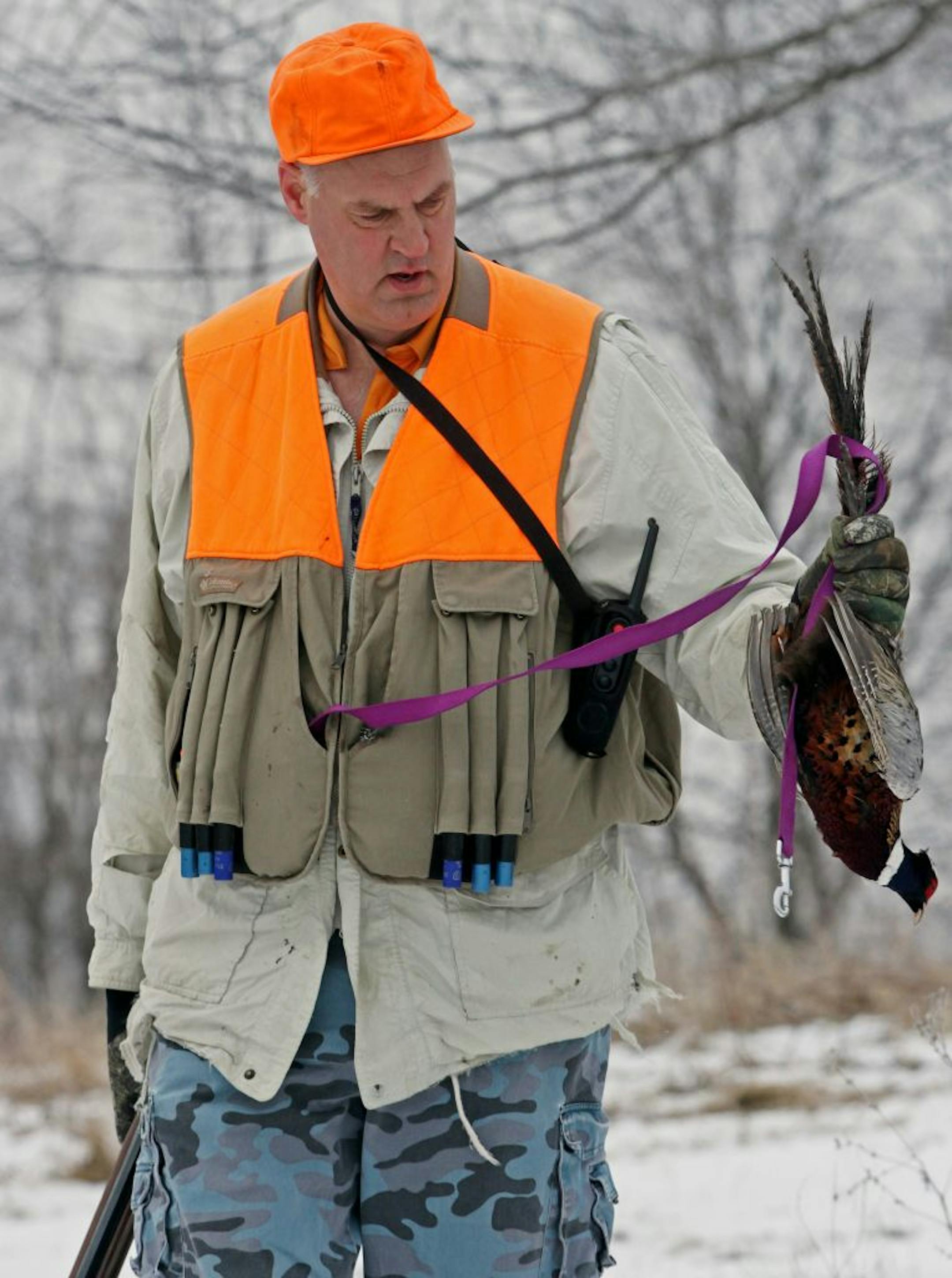 Former Gopher basketball player and 11-year NBA veteran Randy Breuer picked up a pheasant he shot as he was hunting with Star Tribune outdoors writer Dennis Anderson at the Horse and Hunt Club in Prior Lake on 12/19/12.