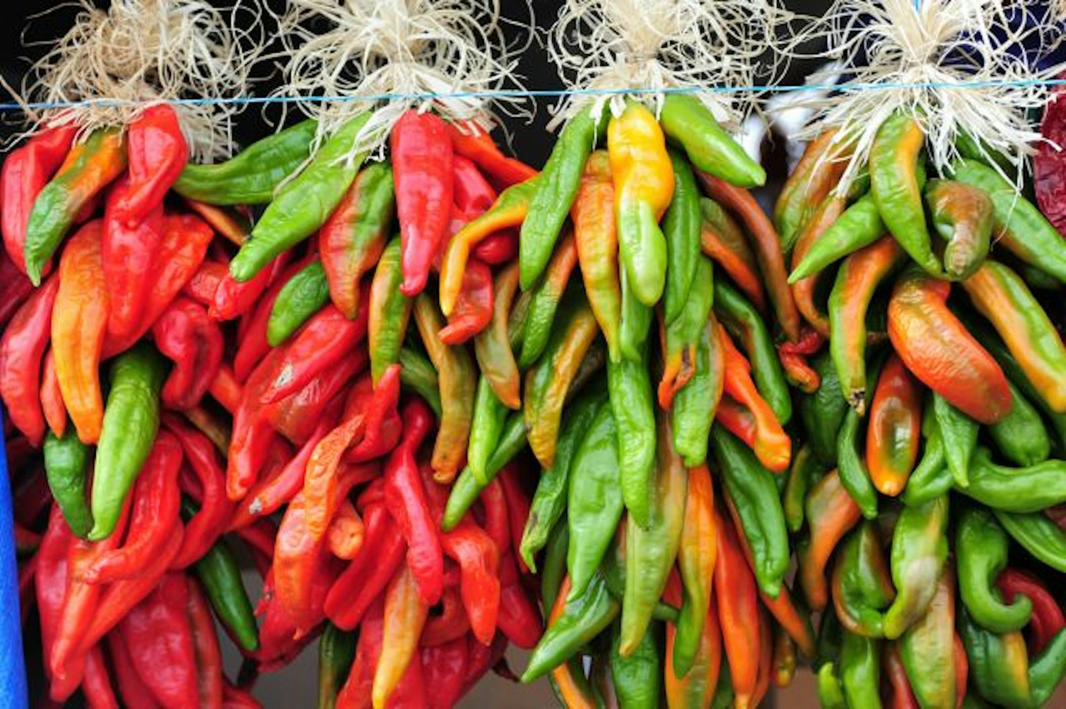 Chiles ristras in Hatch, New Mexico