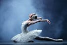 Metropolitan Ballet's production of "Swan Lake" features Anastasia Fedorova.