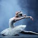 Metropolitan Ballet's production of "Swan Lake" features Anastasia Fedorova.