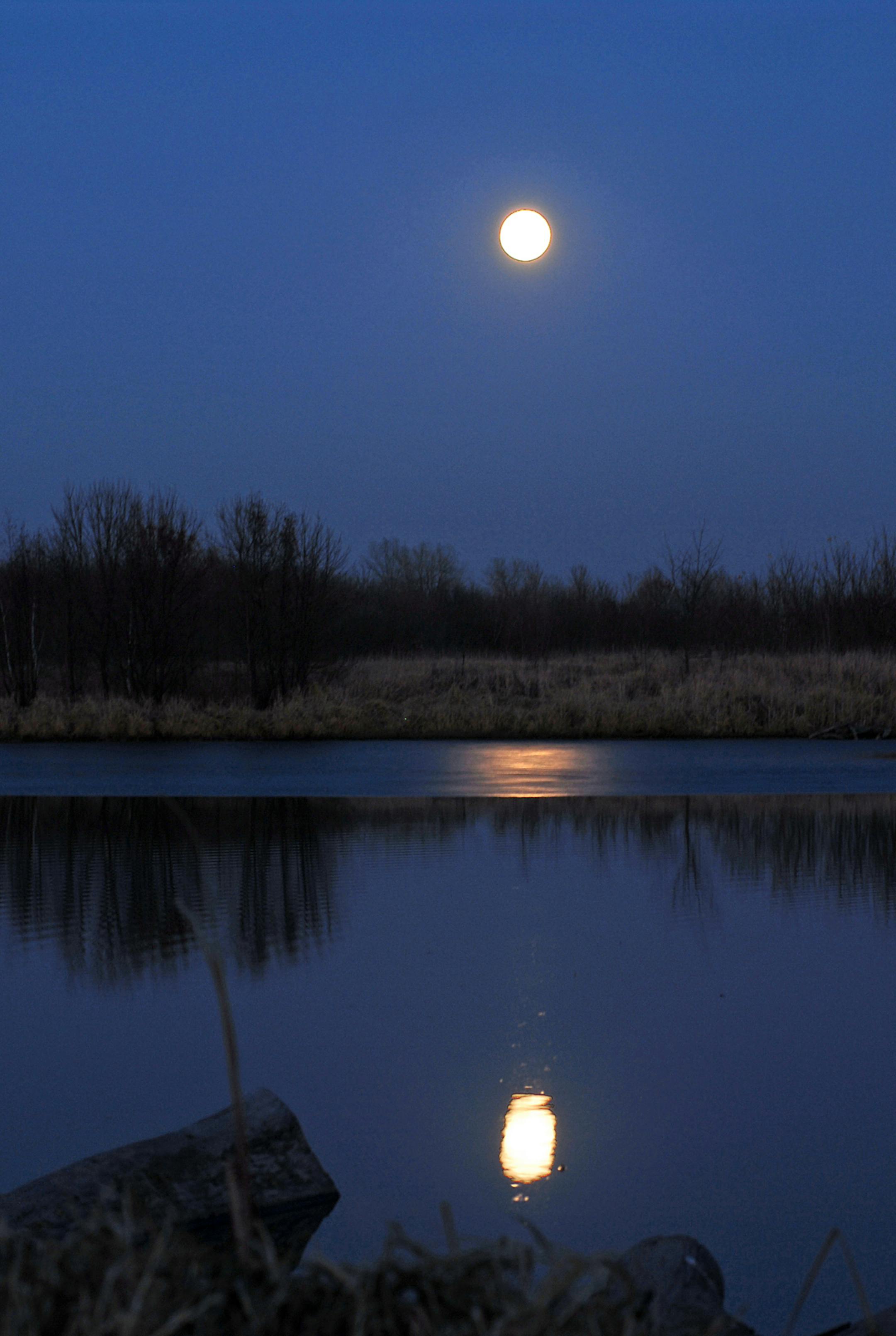 Derek J. Dickinson, Three Rivers Park District