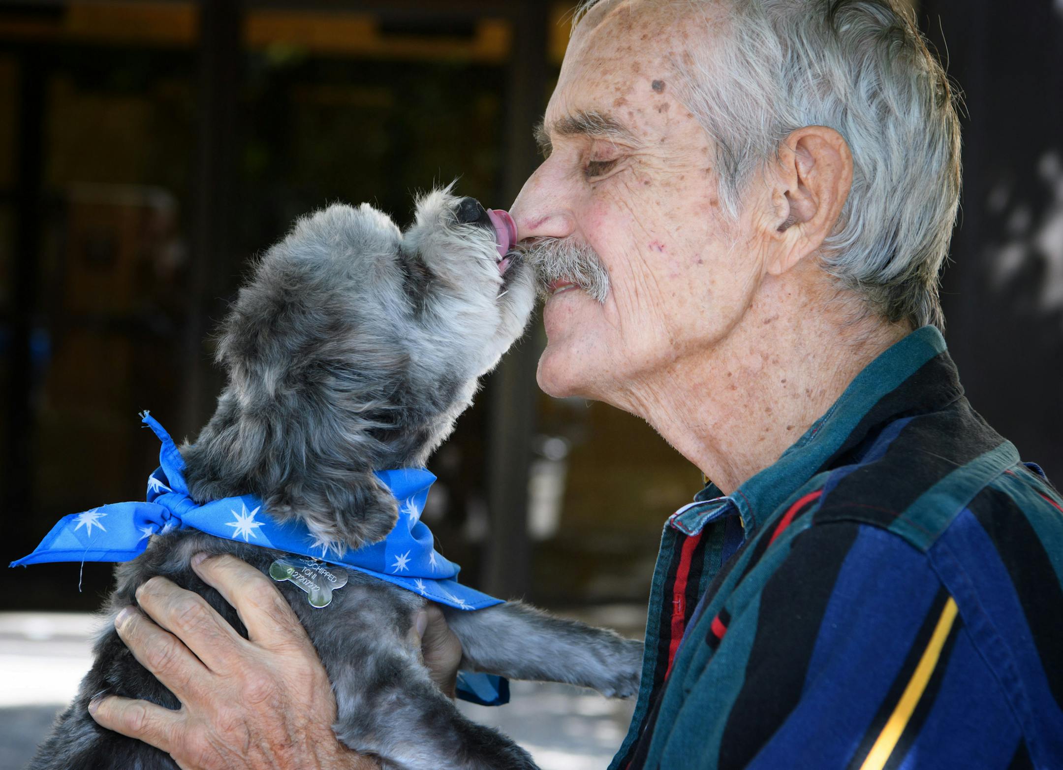 Mike Heath got lots of kisses and cuddles as he reunited with his dog Baby after Toni Johnson found Baby and had him groomed and cleaned at a Petco for Mike. ] GLEN STUBBE * gstubbe@startribune.com Wednesday, June 29, 2016 Toni Johnson after reuniting Baby with its owner Mike Heath she took the dog to get shots and groomed. Now she will be returning Baby to Mike. after being groomed at Petco. Please shoot video of Baby doing the trick that proved he was Mike"s dog.