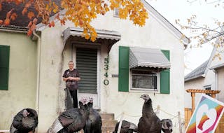The wild turkey population hasn’t just recovered — it’s exploded. They’ve done so well that now some question whether there’s still enough s